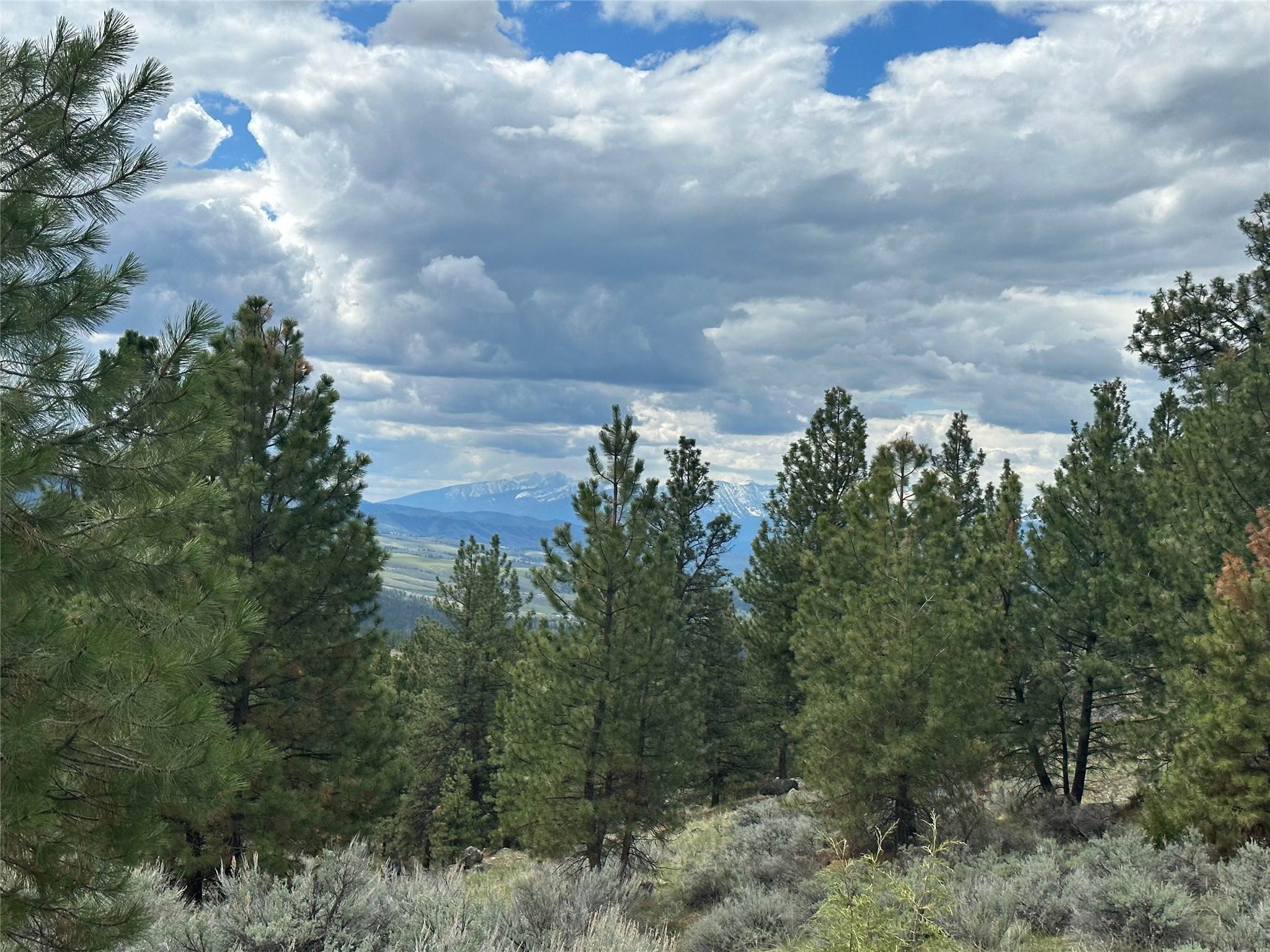 9. Land for Sale at 299 Flying Lead Ridge, Corvallis, Montana 59828 United States