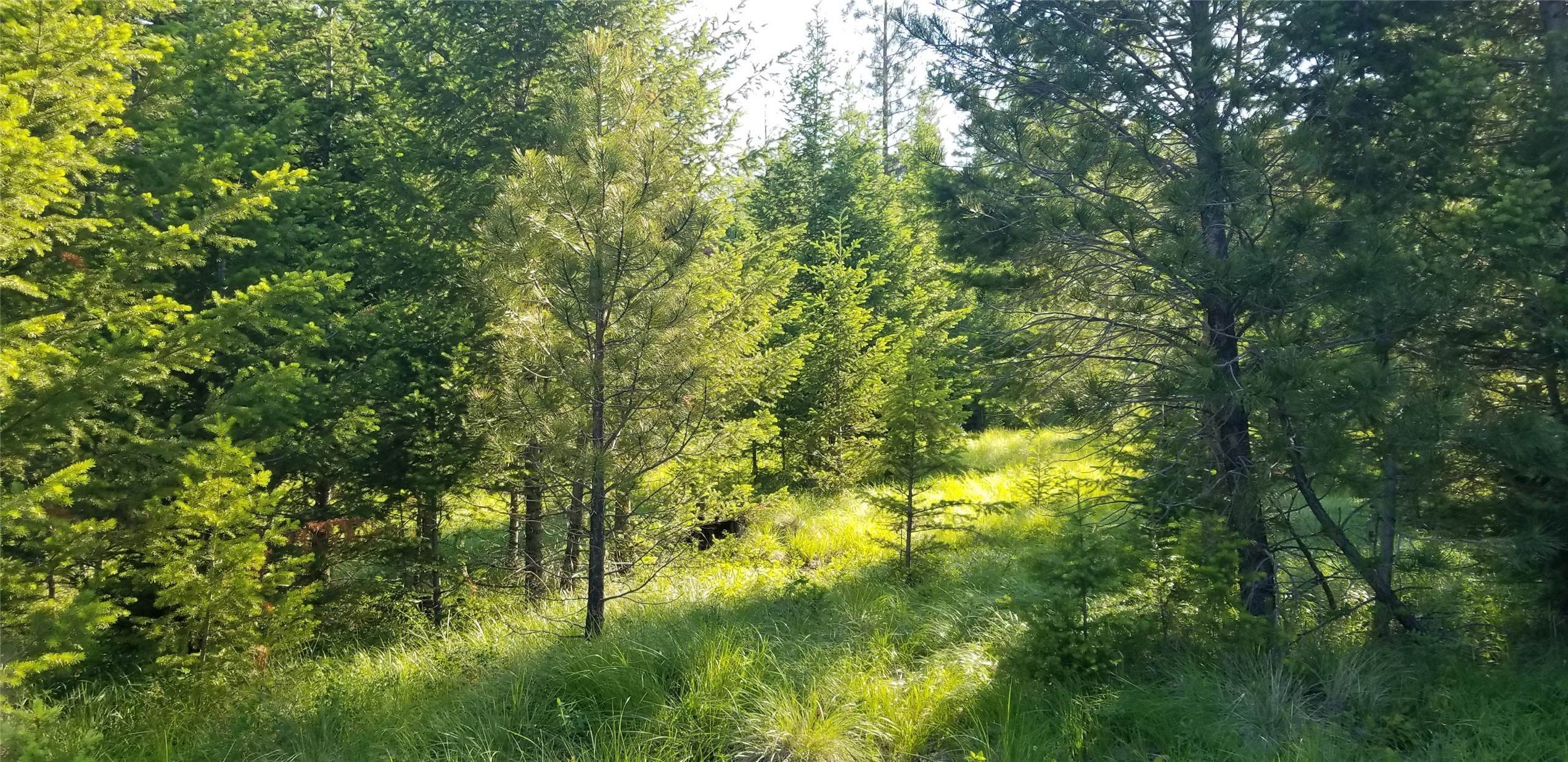 8. Land for Sale at Lot 2A Haywire Gulch, Kalispell, Montana 59901 United States