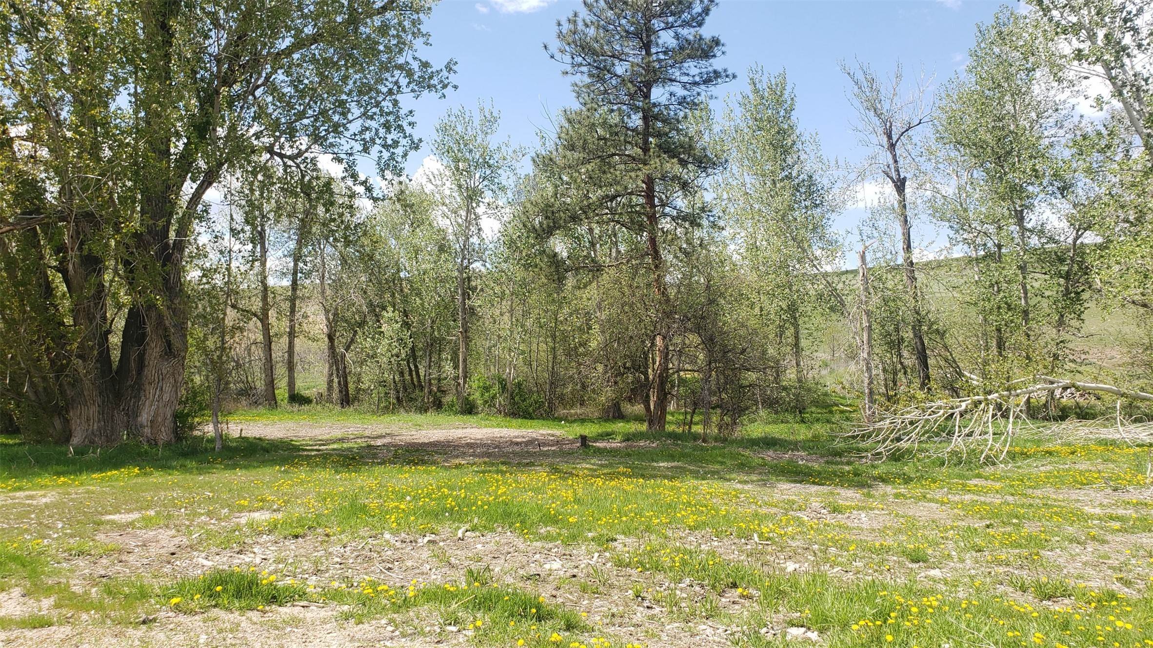 10. Land for Sale at 582 Dry Gulch Road, Stevensville, Montana 59870 United States