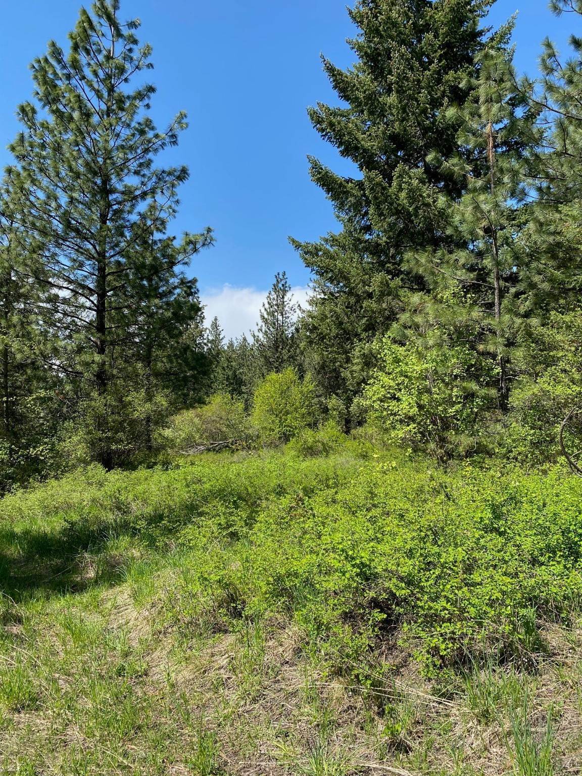 12. Land for Sale at NHN Off of Addy Lane, Ronan, Montana 59864 United States