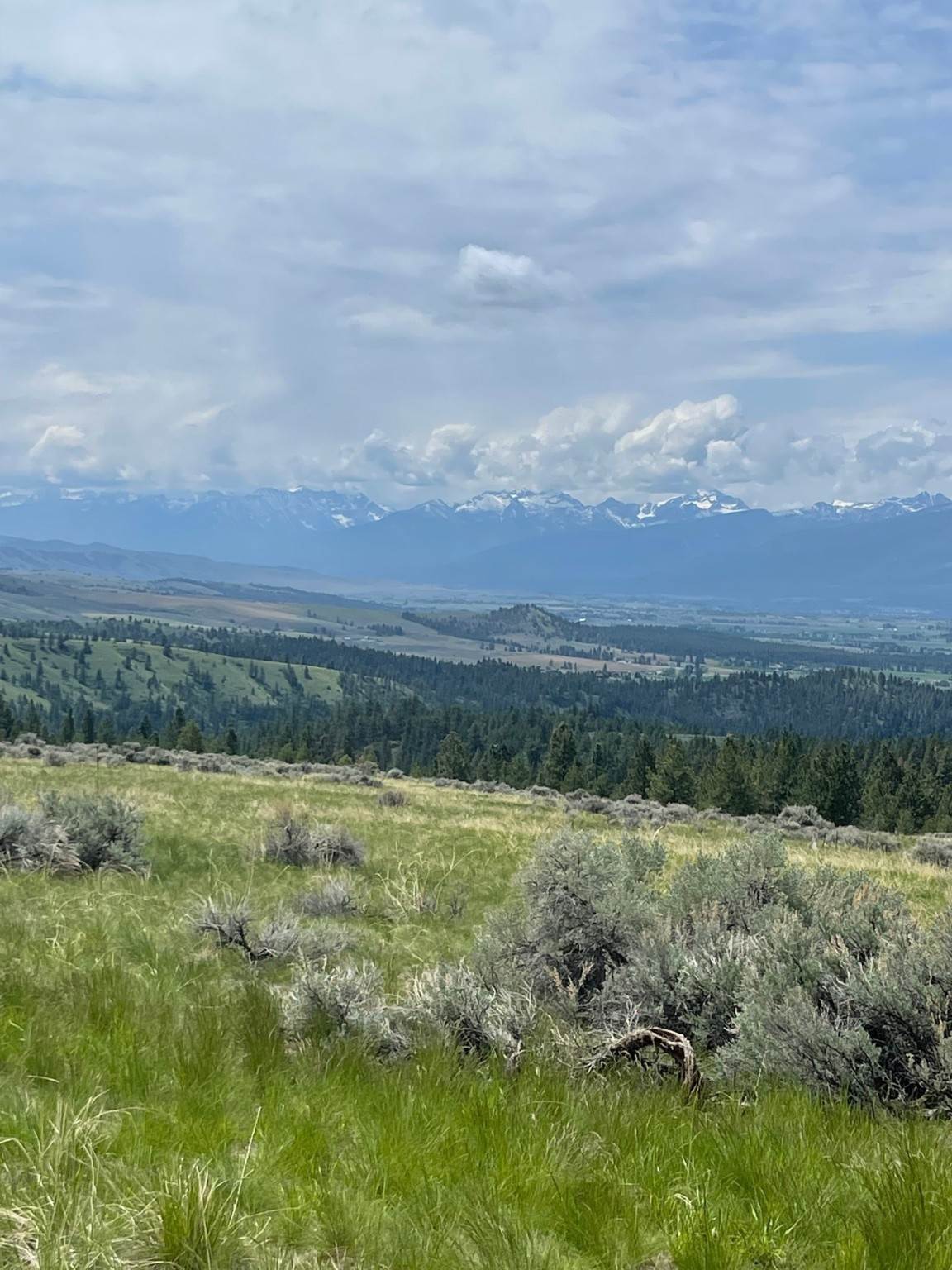 12. Land for Sale at Sapphire Ranch Trail, Corvallis, Montana 59828 United States