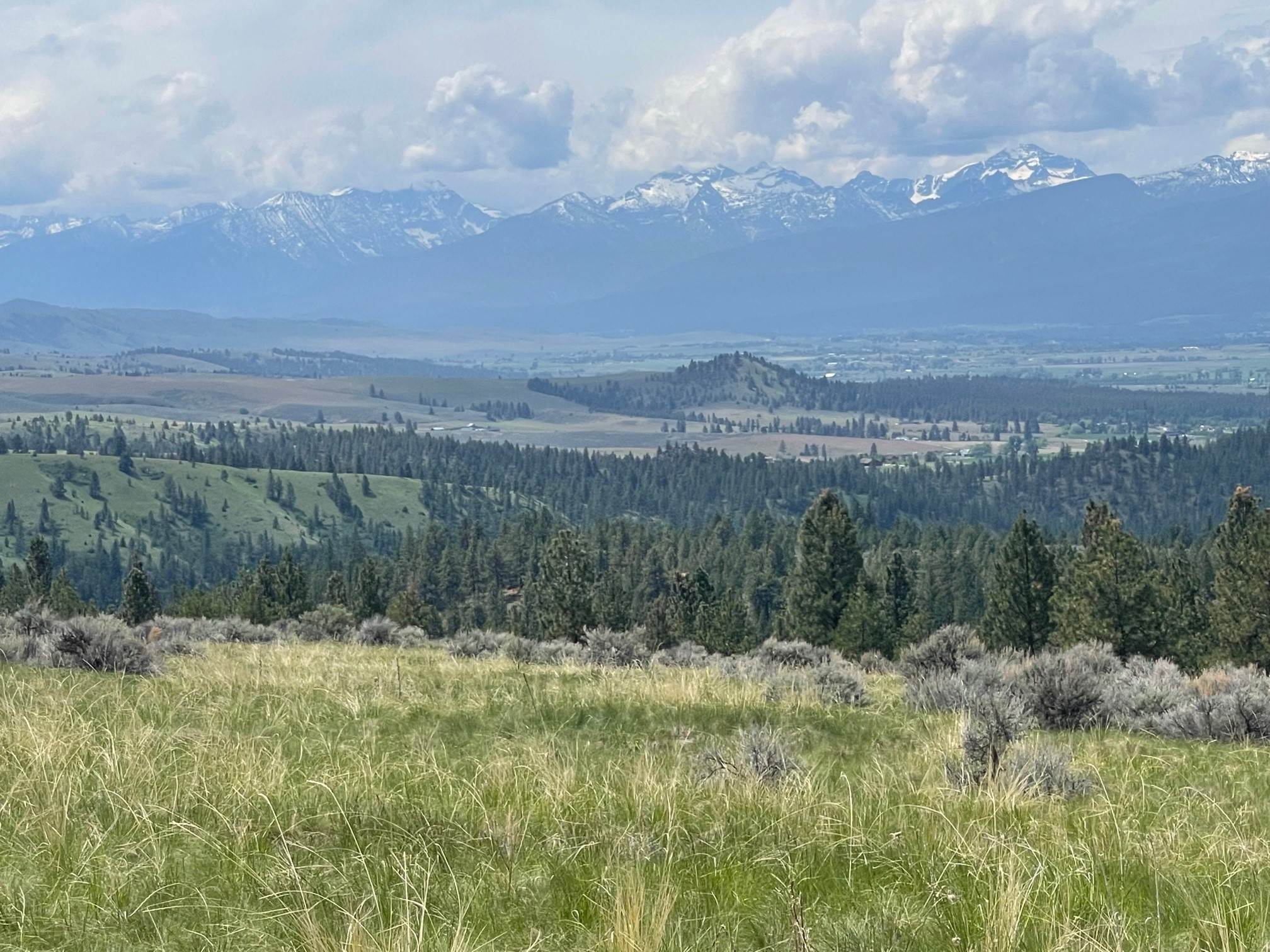 13. Land for Sale at Sapphire Ranch Trail, Corvallis, Montana 59828 United States
