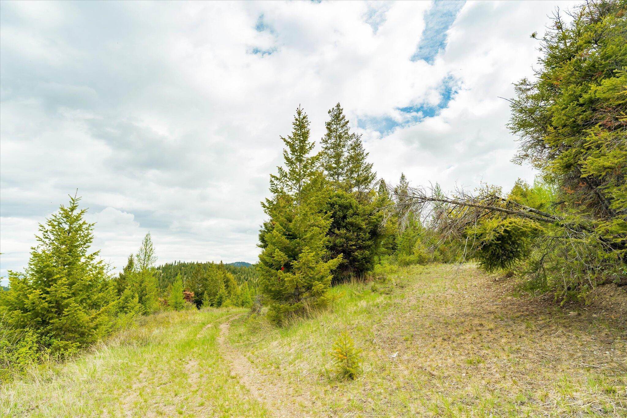 11. Land for Sale at Nhn Coon Hollow Road, Kila, Montana 59920 United States