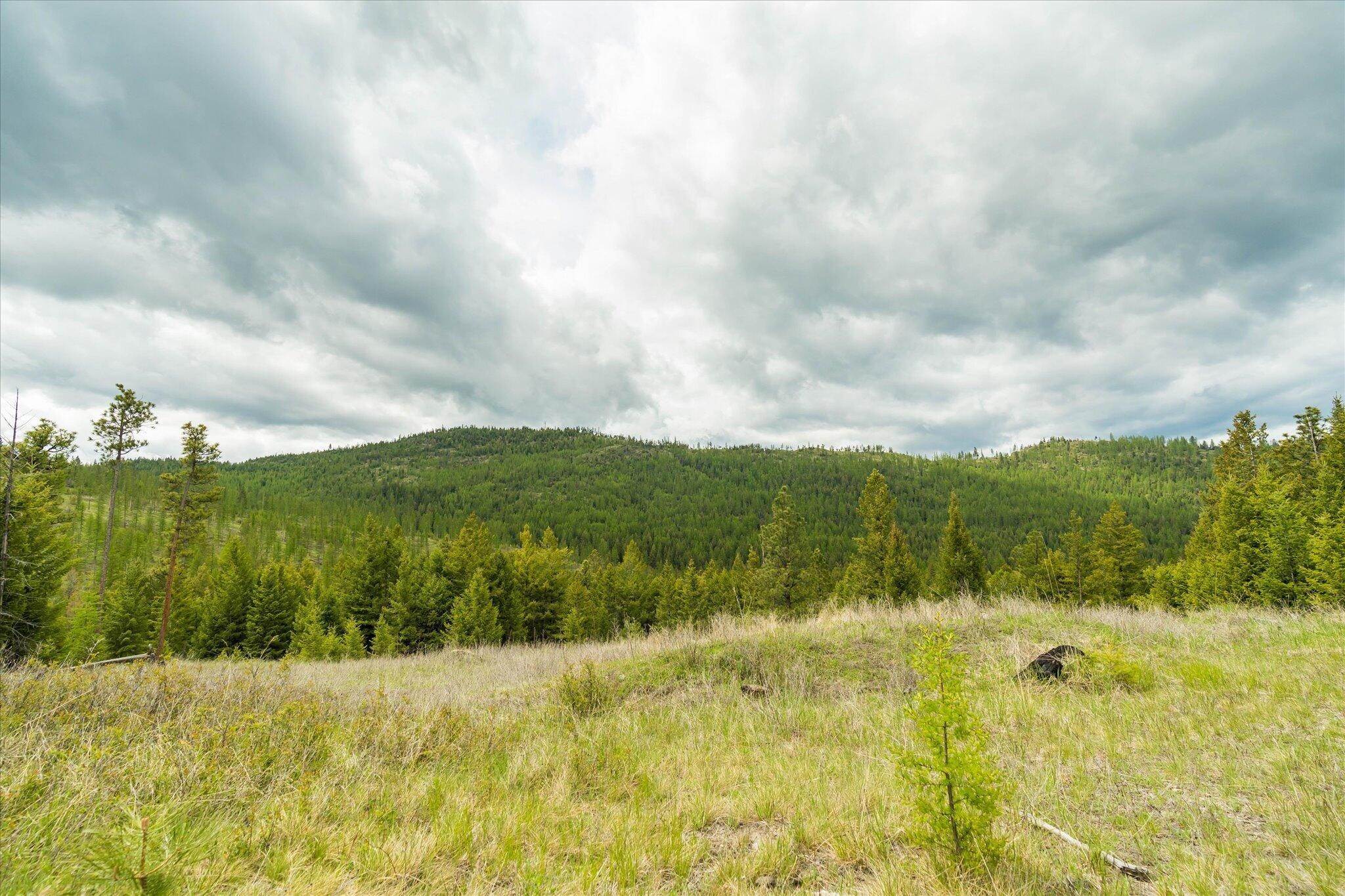 16. Land for Sale at Nhn Coon Hollow Road, Kila, Montana 59920 United States