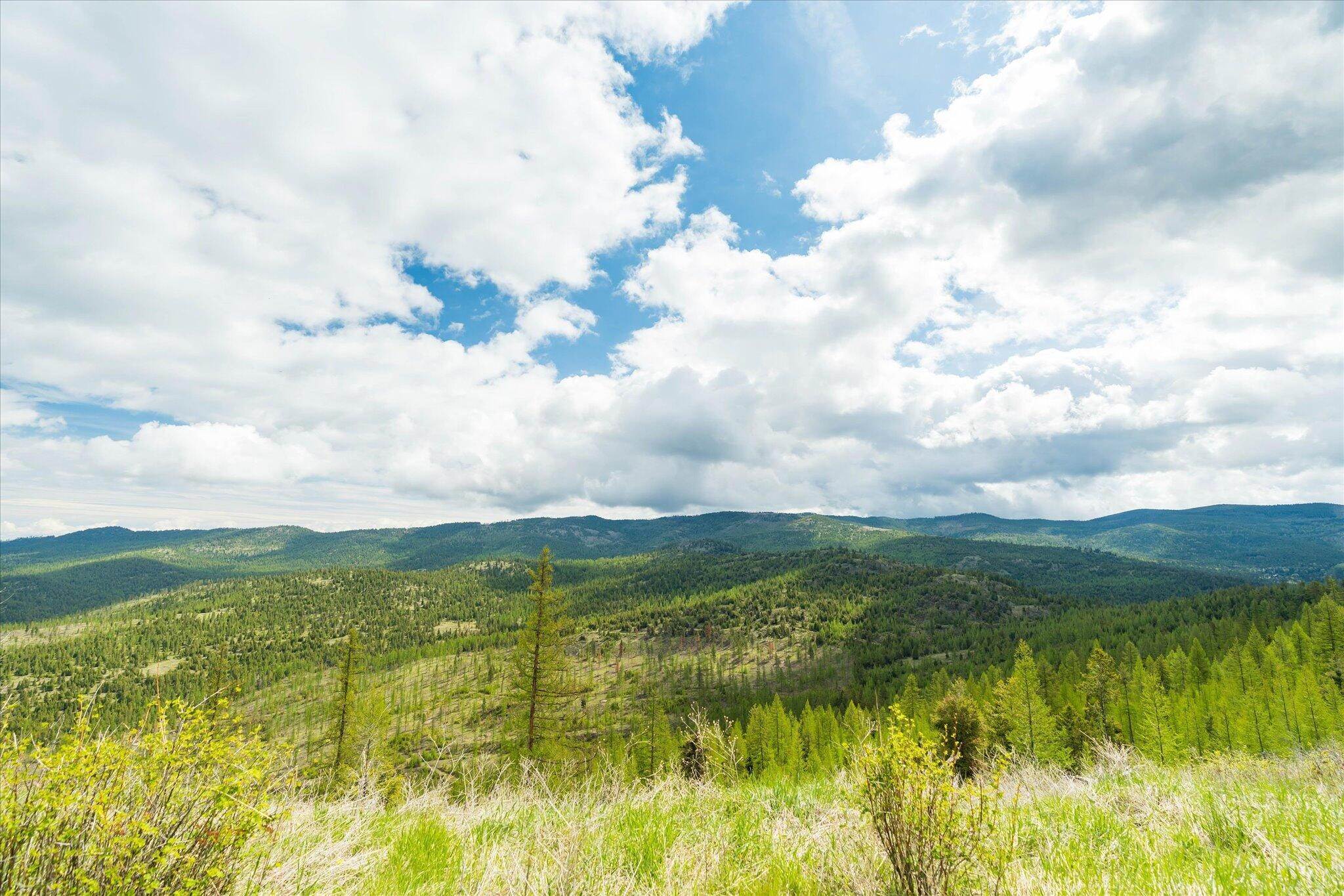 7. Land for Sale at Nhn Coon Hollow Road, Kila, Montana 59920 United States