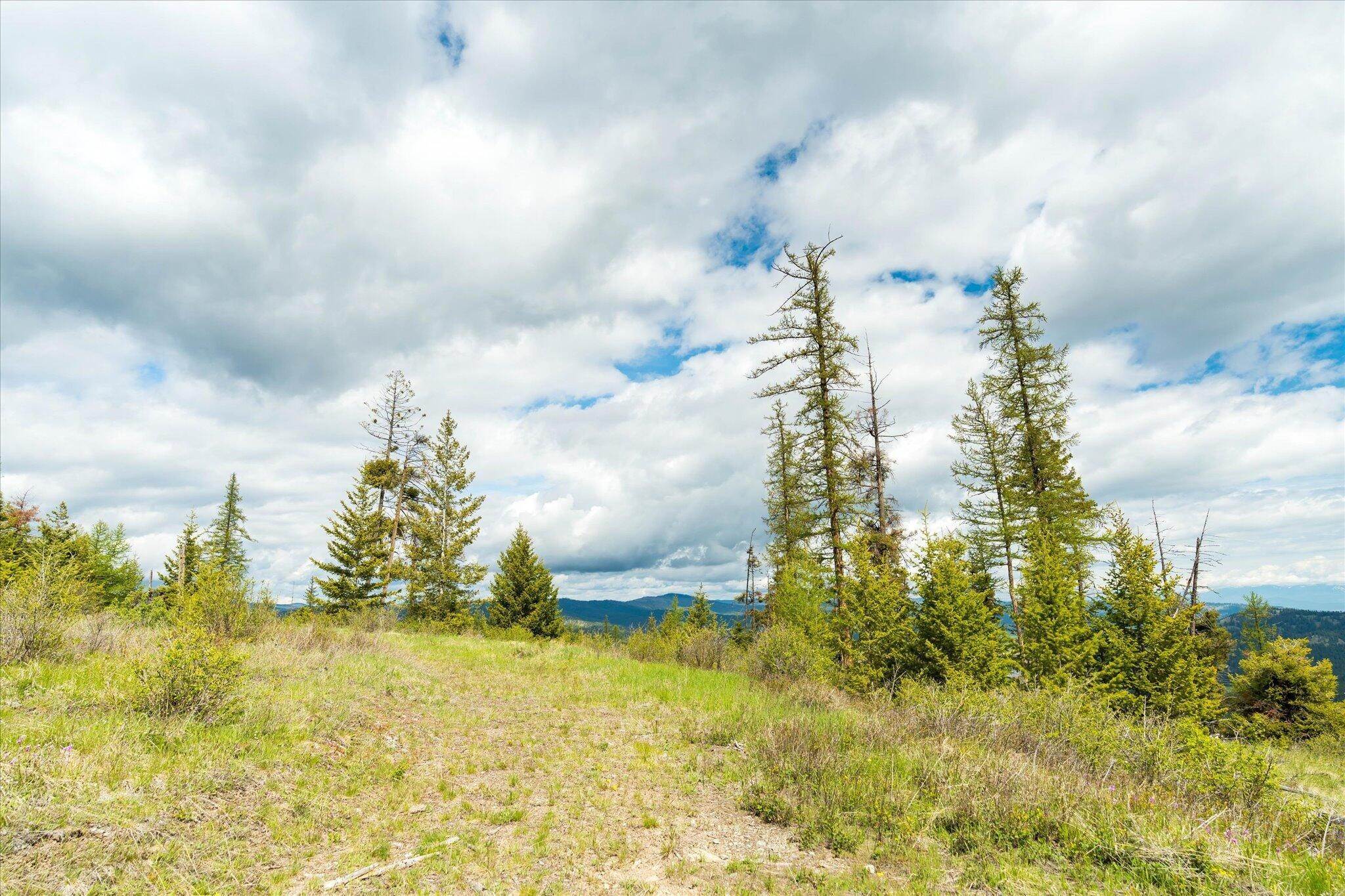 8. Land for Sale at Nhn Coon Hollow Road, Kila, Montana 59920 United States