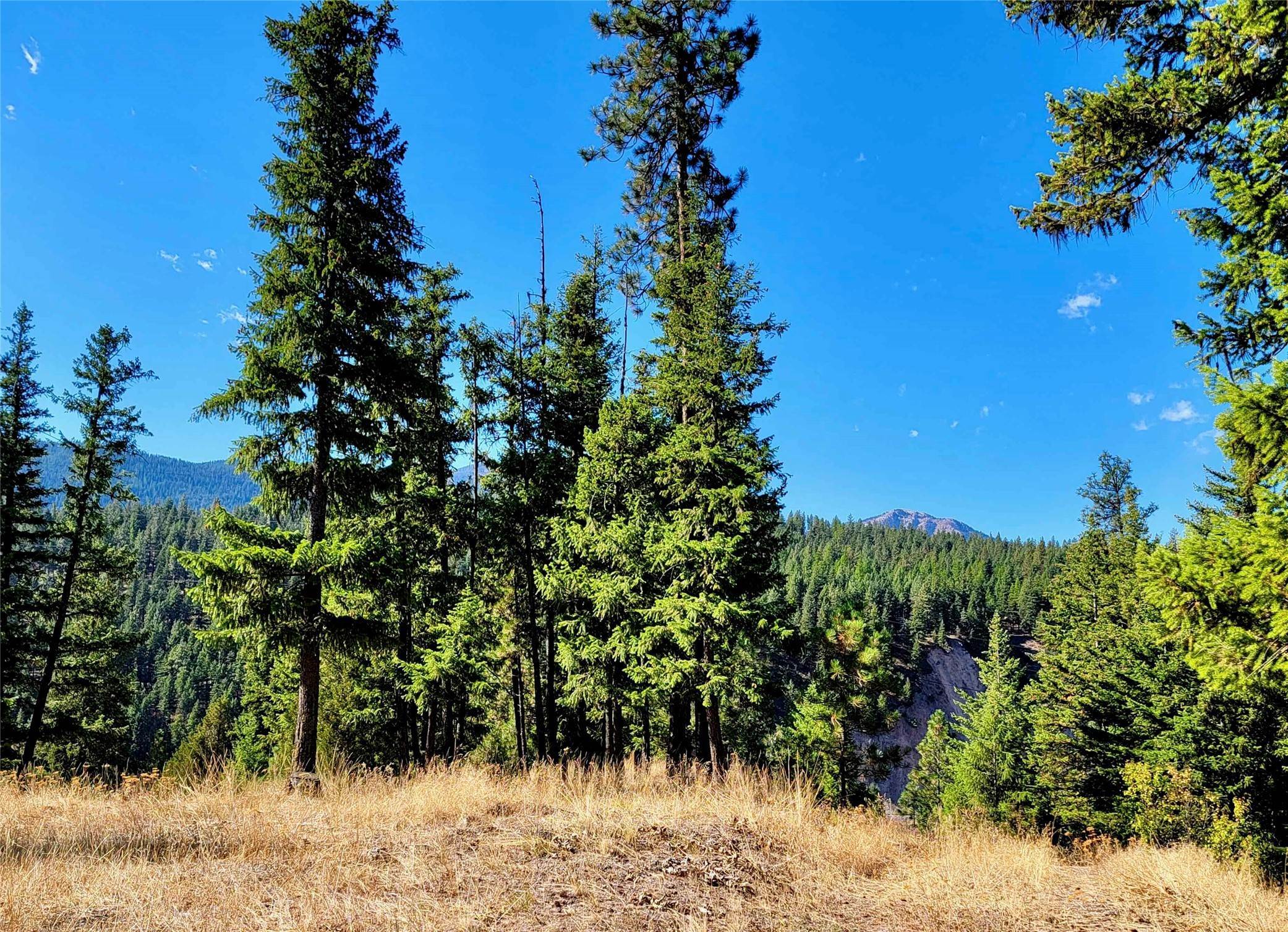 14. Land for Sale at W Mullan Road, Superior, Montana 59872 United States