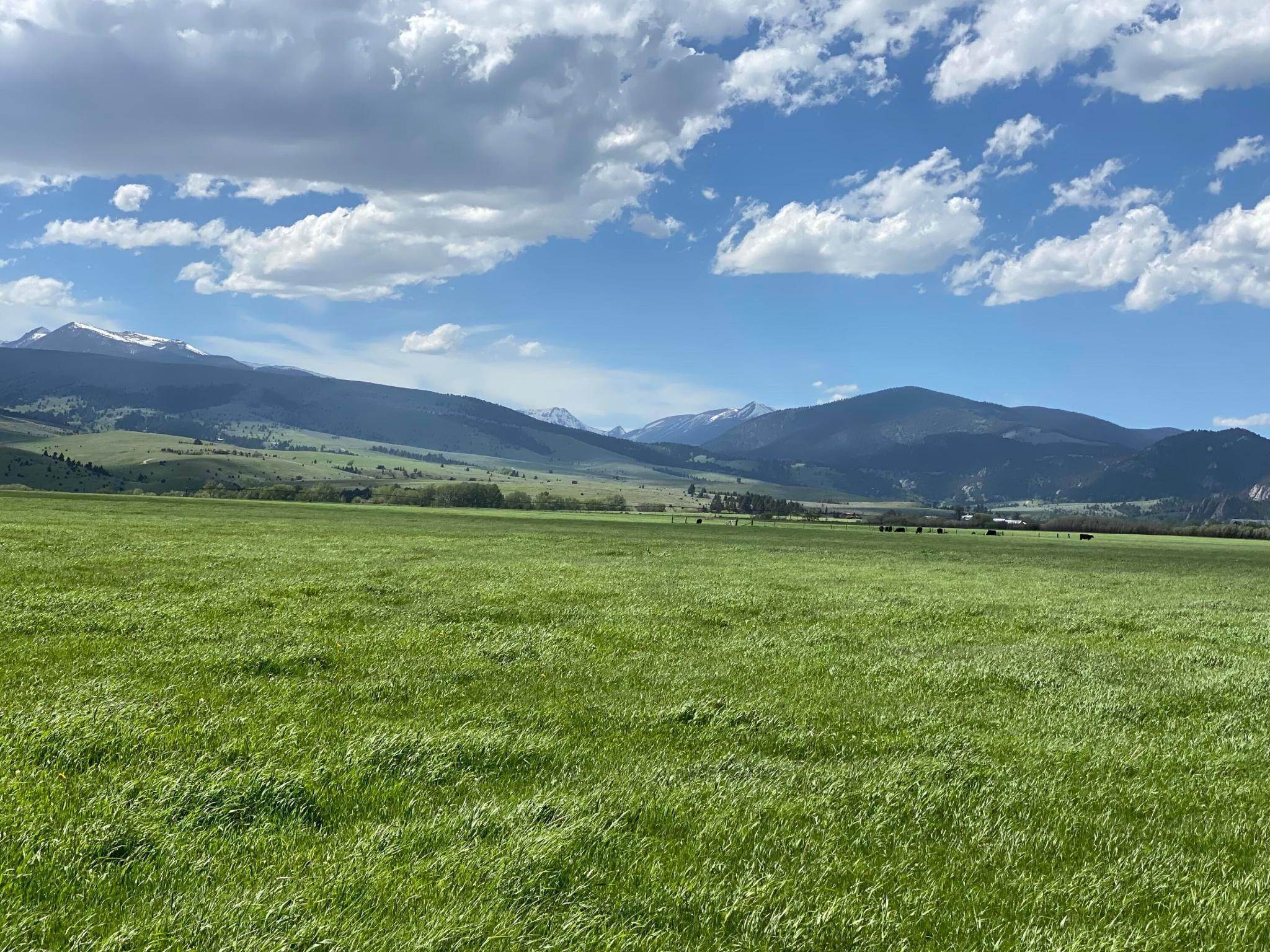 8. Land for Sale at 188+/- Acres In North Meadow Creek, McAllister, Montana 59740 United States