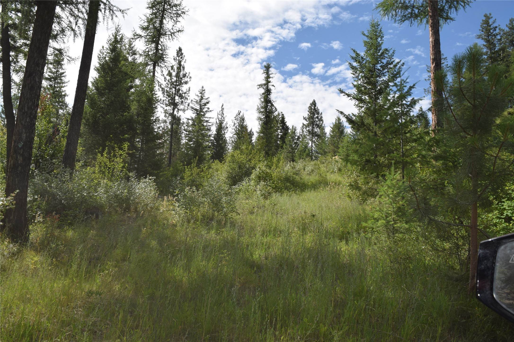 20. Land for Sale at 73487 Arlee Pines Drive, Arlee, Montana 59821 United States