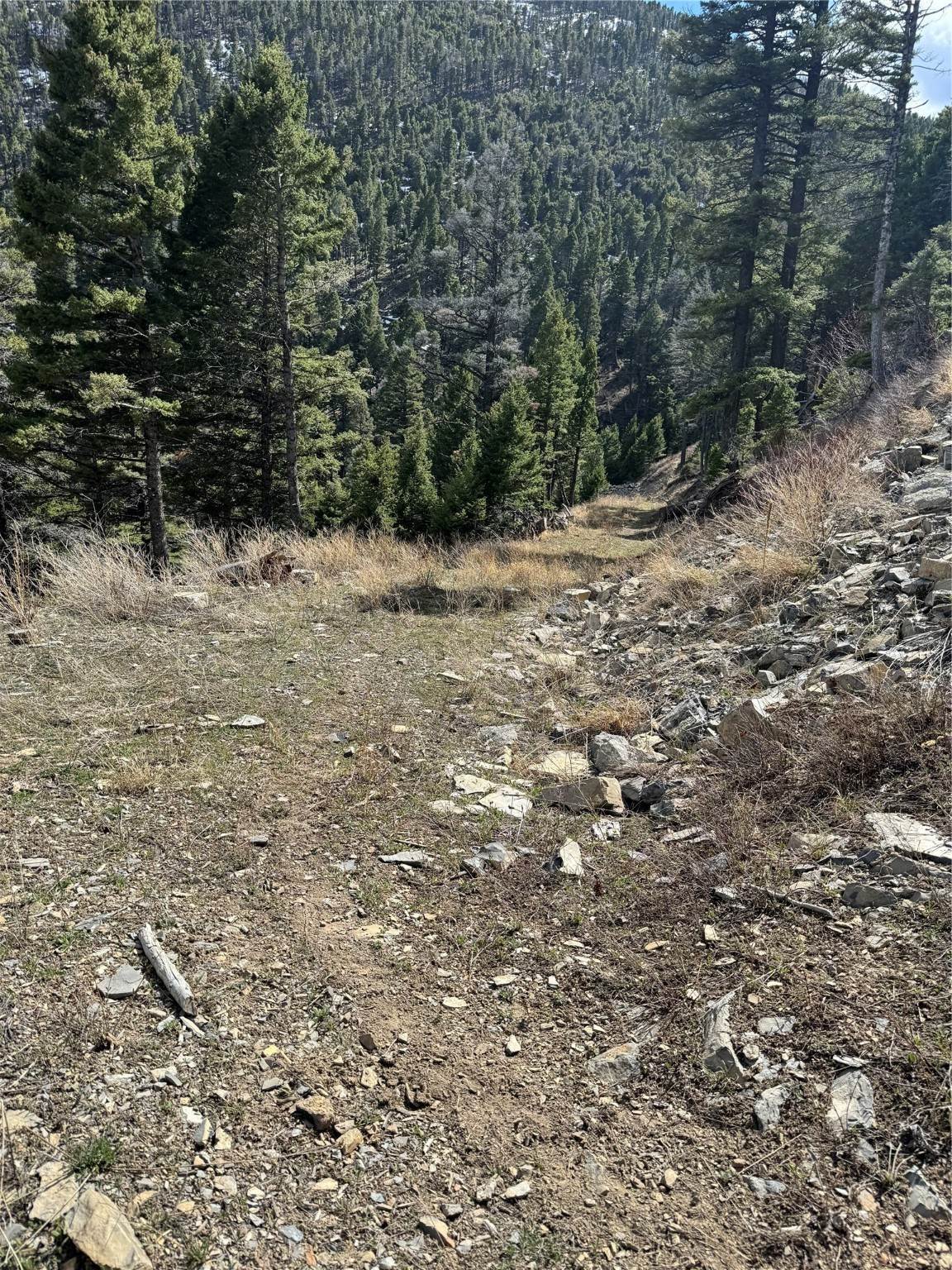 11. Land for Sale at 3585 Gladstone Creek Road, Wolf Creek, Montana 59648 United States
