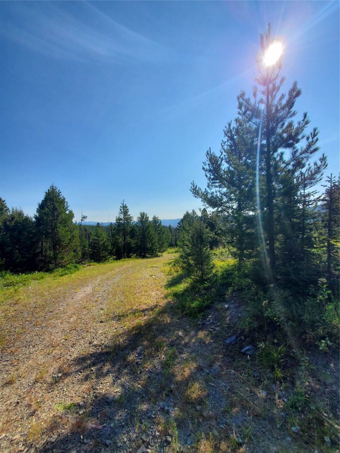 15. Land for Sale at No Number SW Dalton Mountain, Lincoln, Montana 59639 United States