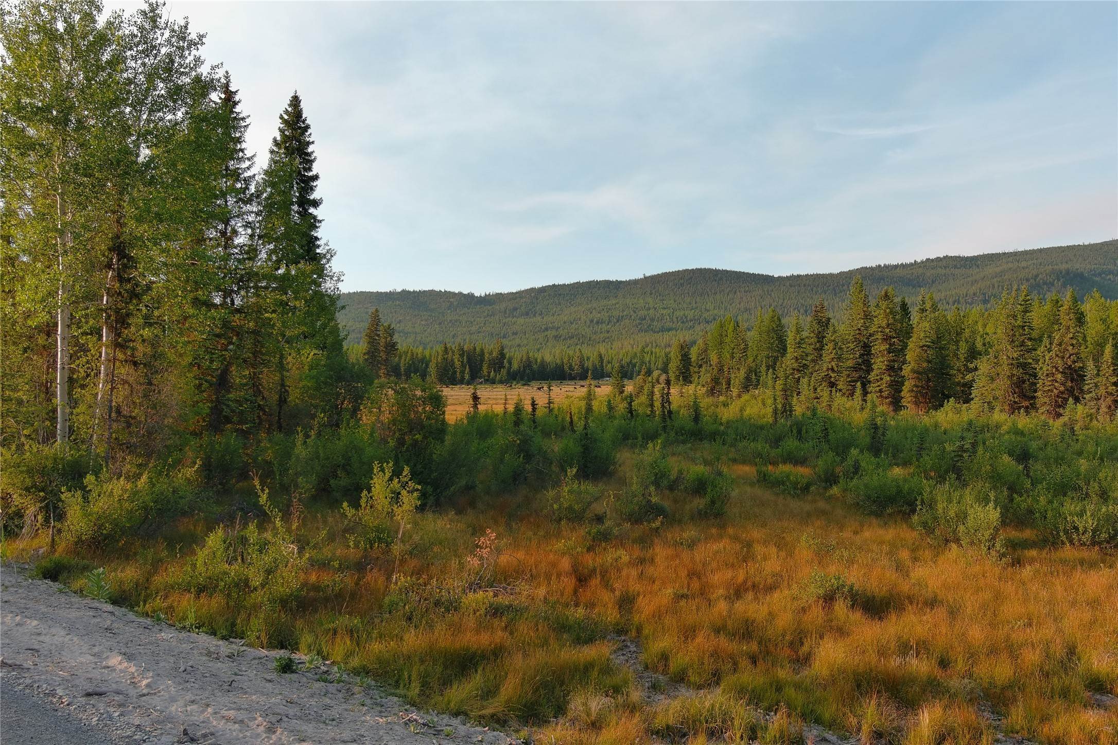 4. Land for Sale at Nhn Meadow Peak Drive, Libby, Montana 59923 United States