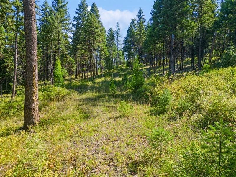 8. Land for Sale at NHN West Shore Road, Proctor, Montana 59929 United States