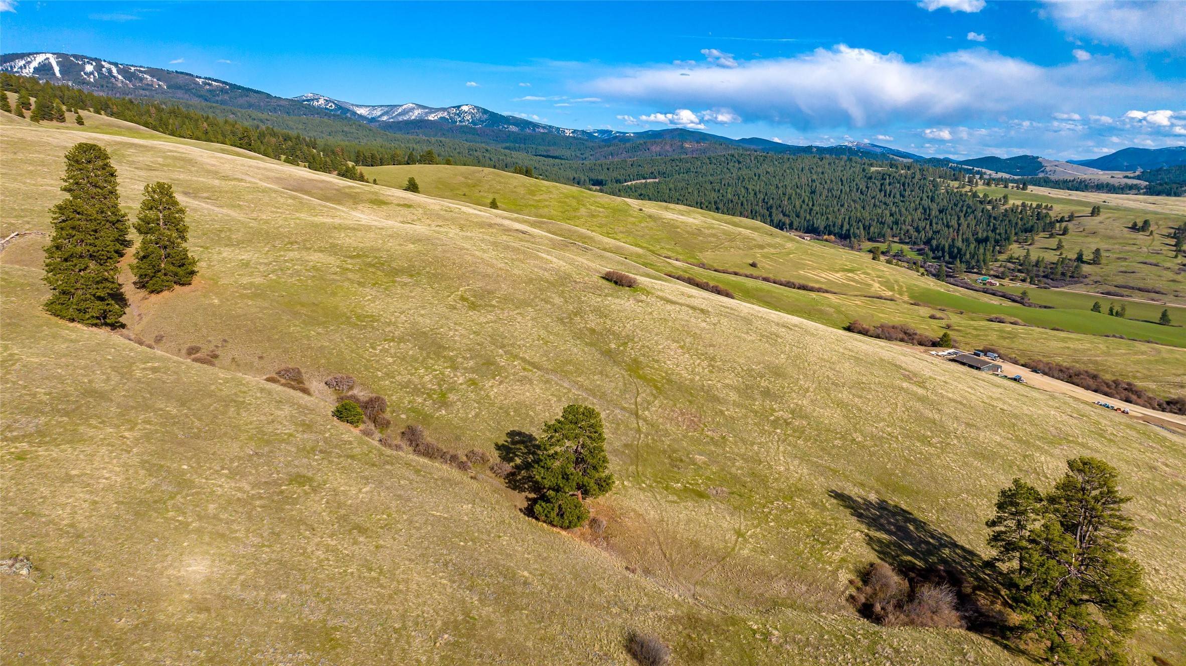14. Land for Sale at 8125 Brow Tine Drive, Missoula, Montana 59808 United States