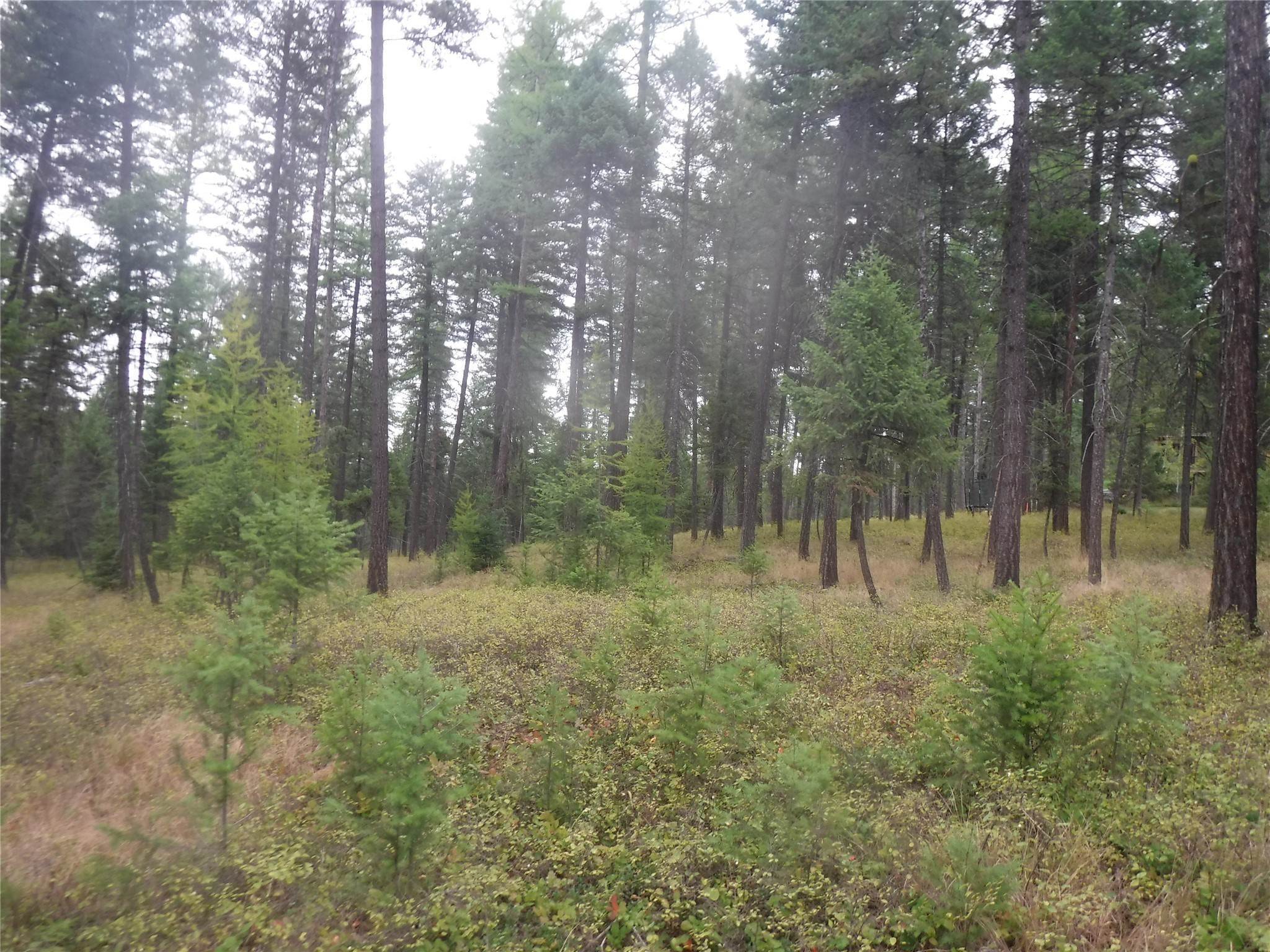 2. Land for Sale at 51 Hills Lookout Court, Whitefish, Montana 59937 United States
