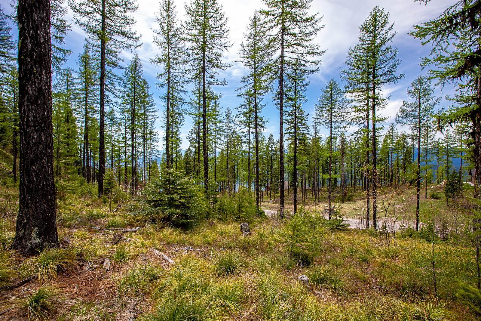 10. Land for Sale at 275 Elk Highlands Drive, Whitefish, Montana 59937 United States