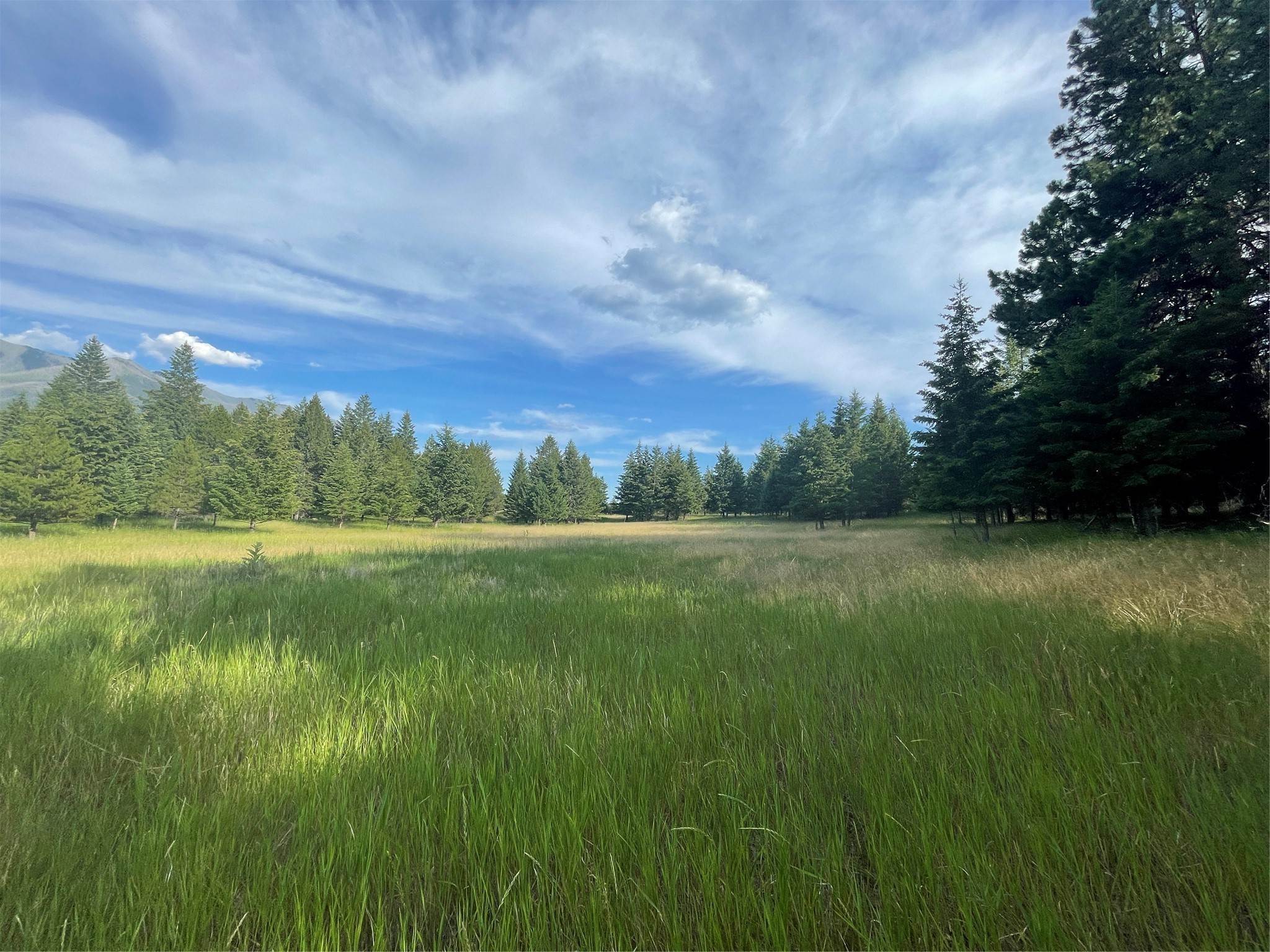 13. Land for Sale at TR-5B Fortine Cemetery Road, Fortine, Montana 59918 United States