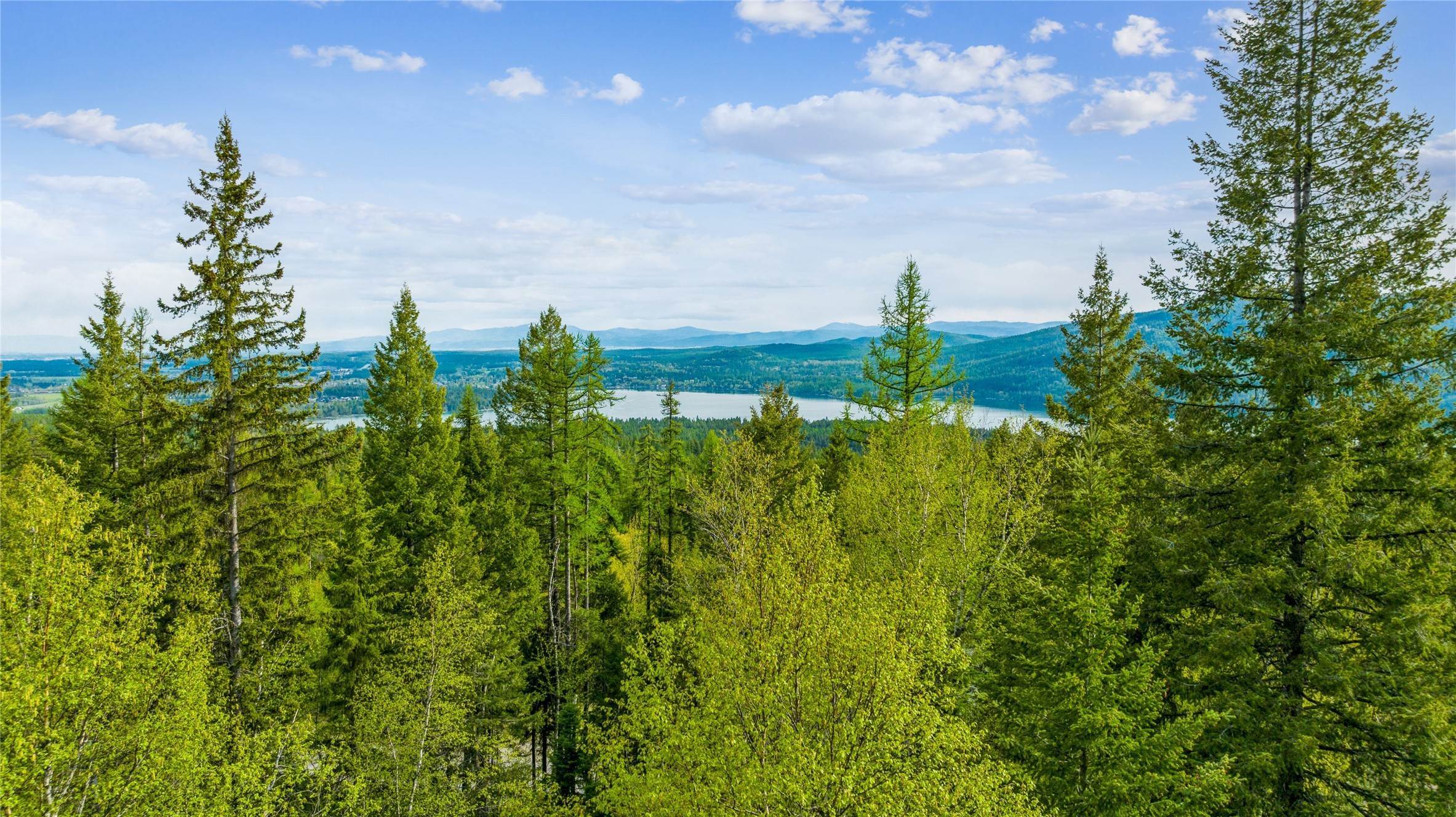 16. Land for Sale at 201 Whitefish Lookout Road, Whitefish, Montana 59937 United States