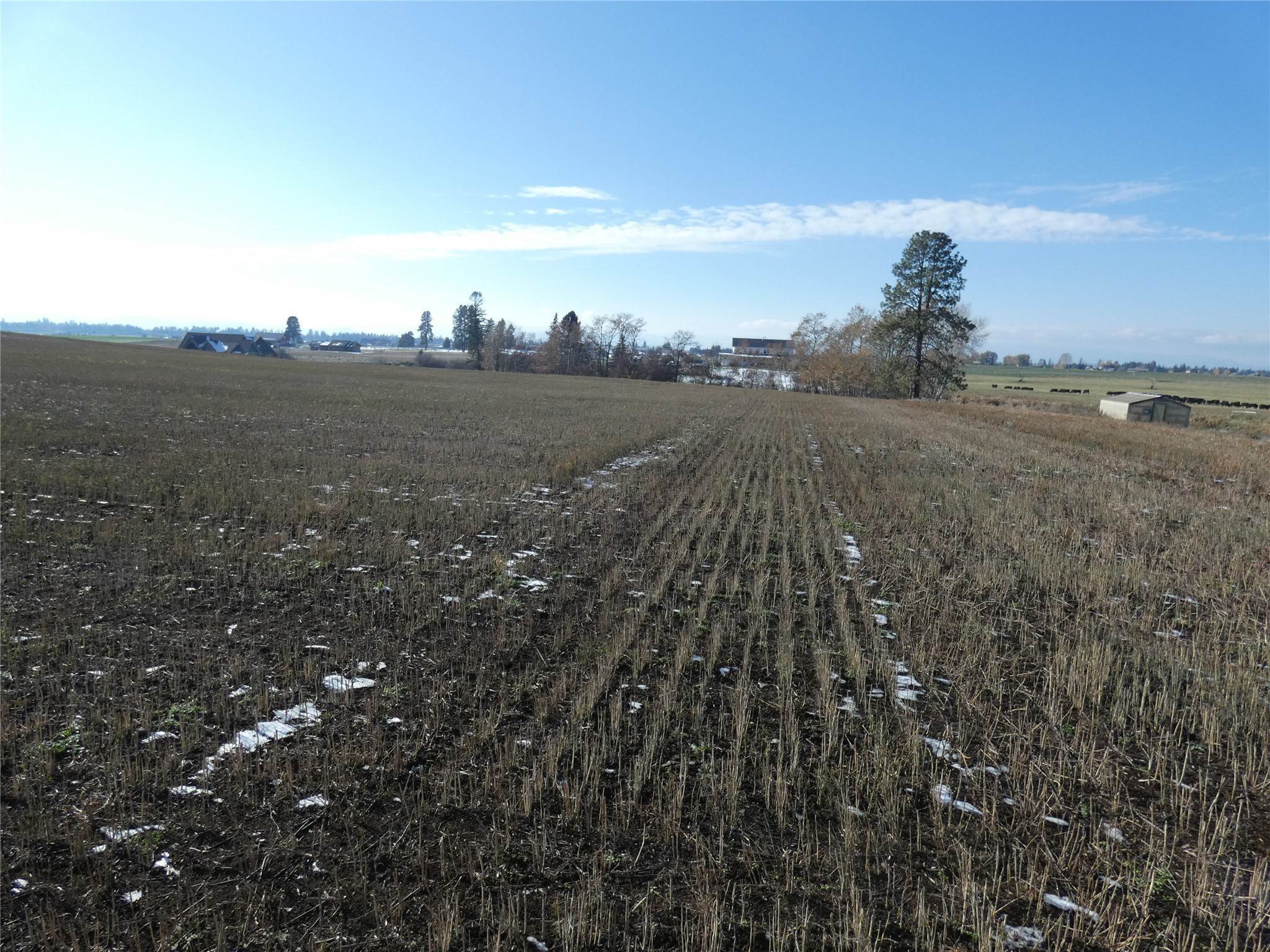 9. Land for Sale at NHN Middle Road, Columbia Falls, Montana 59912 United States