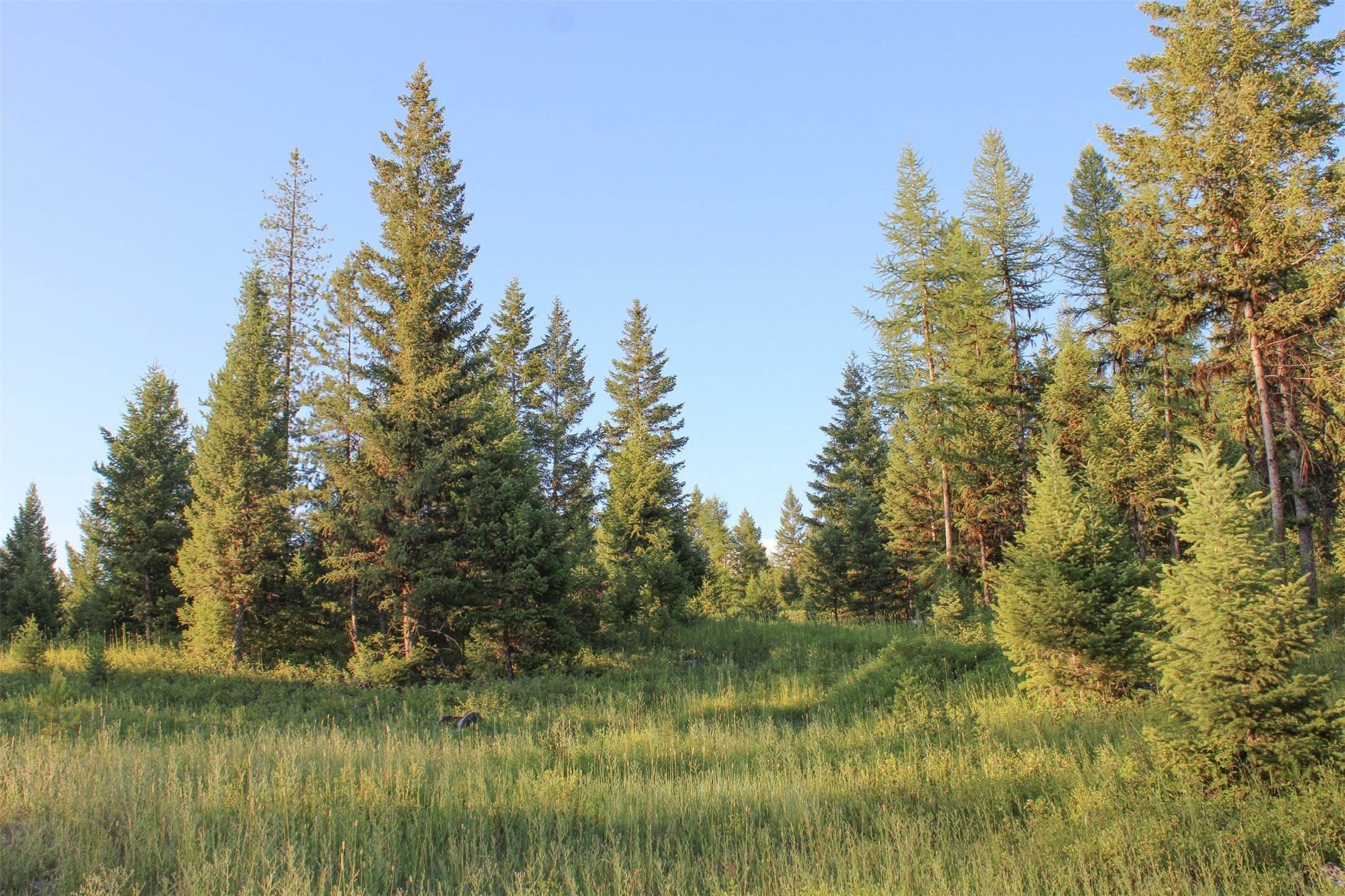 12. Land for Sale at NHN Browns Meadow Road, Kila, Montana 59920 United States