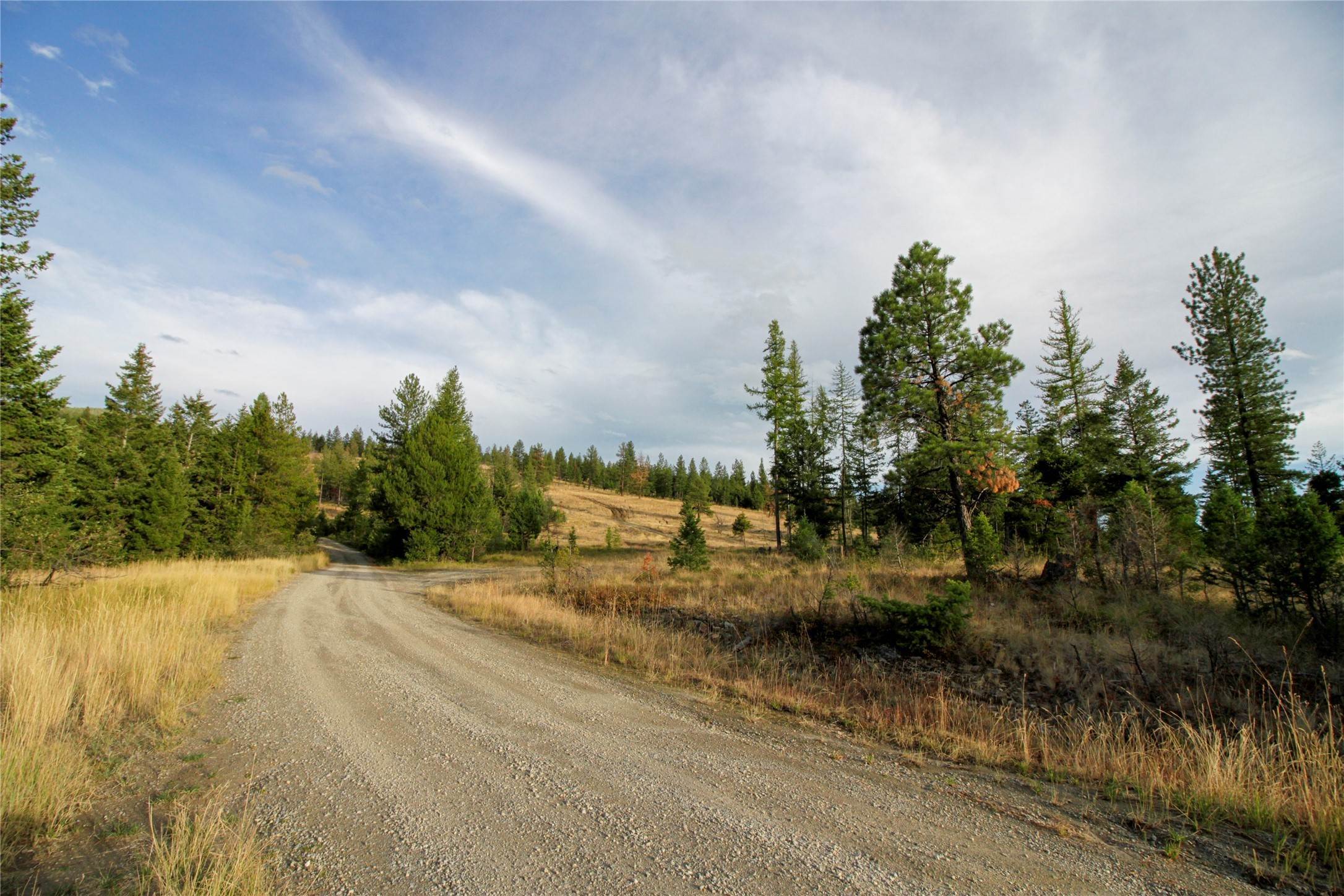 15. Land for Sale at NHN Browns Meadow Road, Kila, Montana 59920 United States