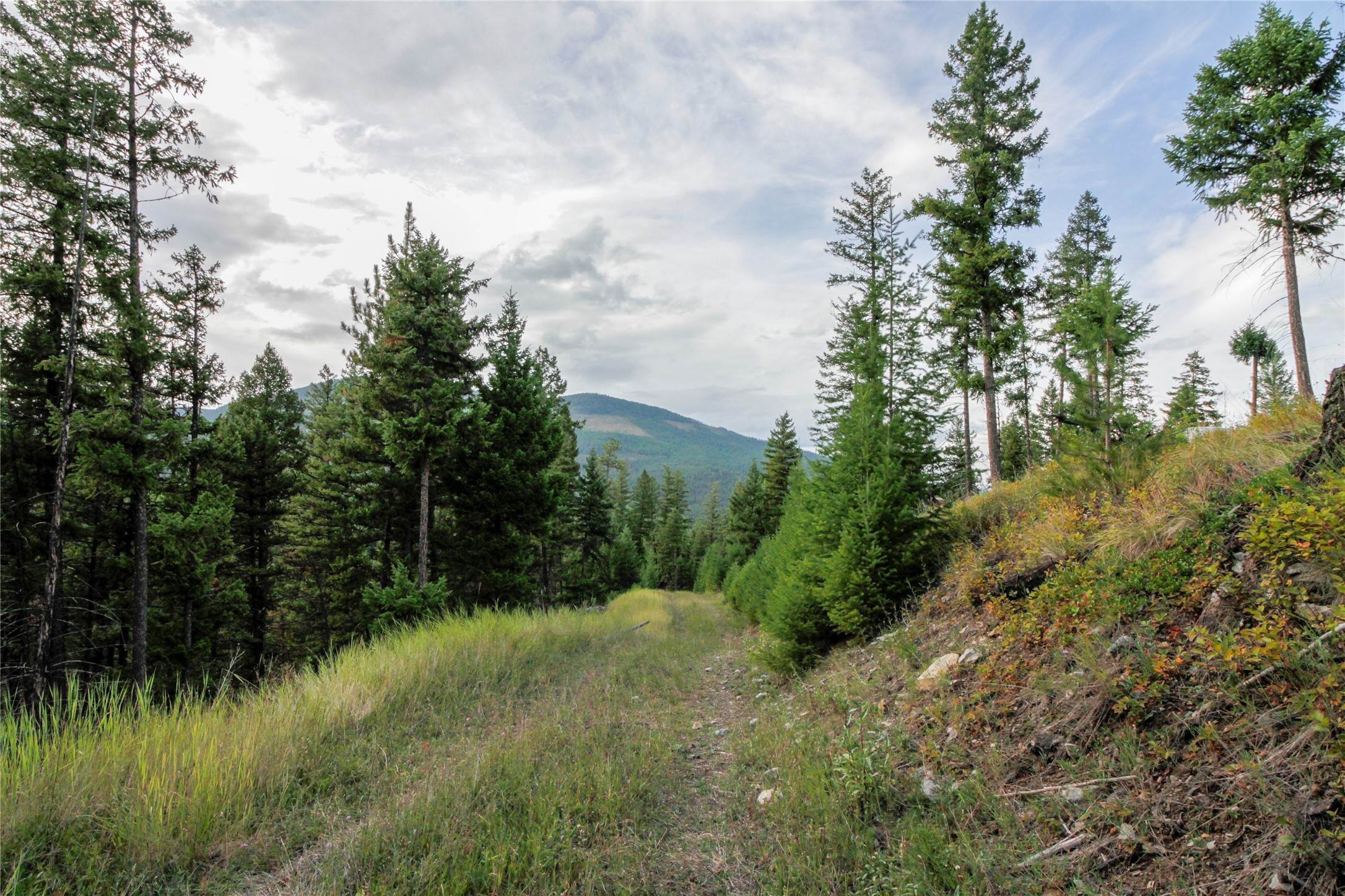 17. Land for Sale at NHN Browns Meadow Road, Kila, Montana 59920 United States