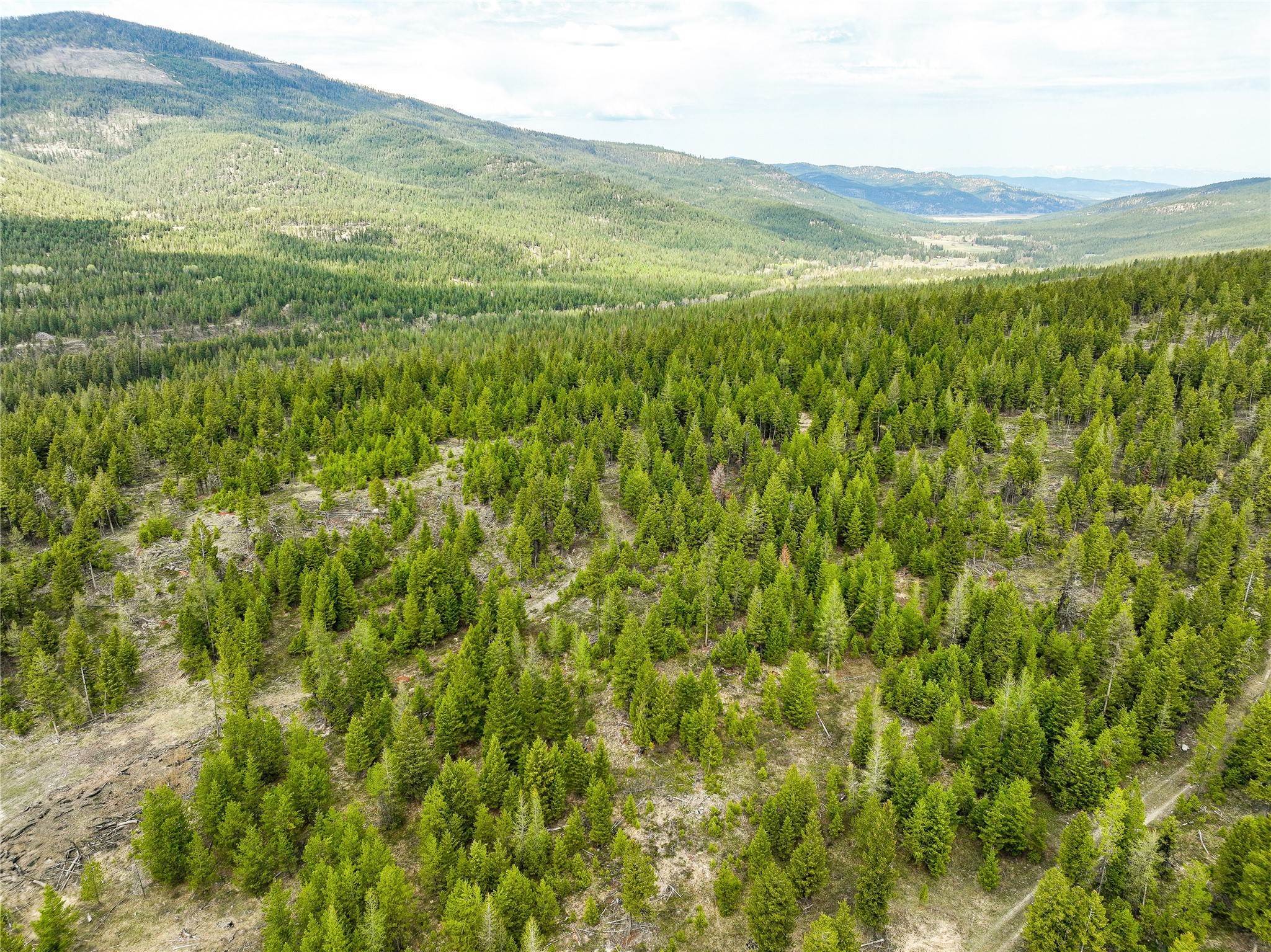 6. Land for Sale at NHN Browns Meadow Road, Kila, Montana 59920 United States