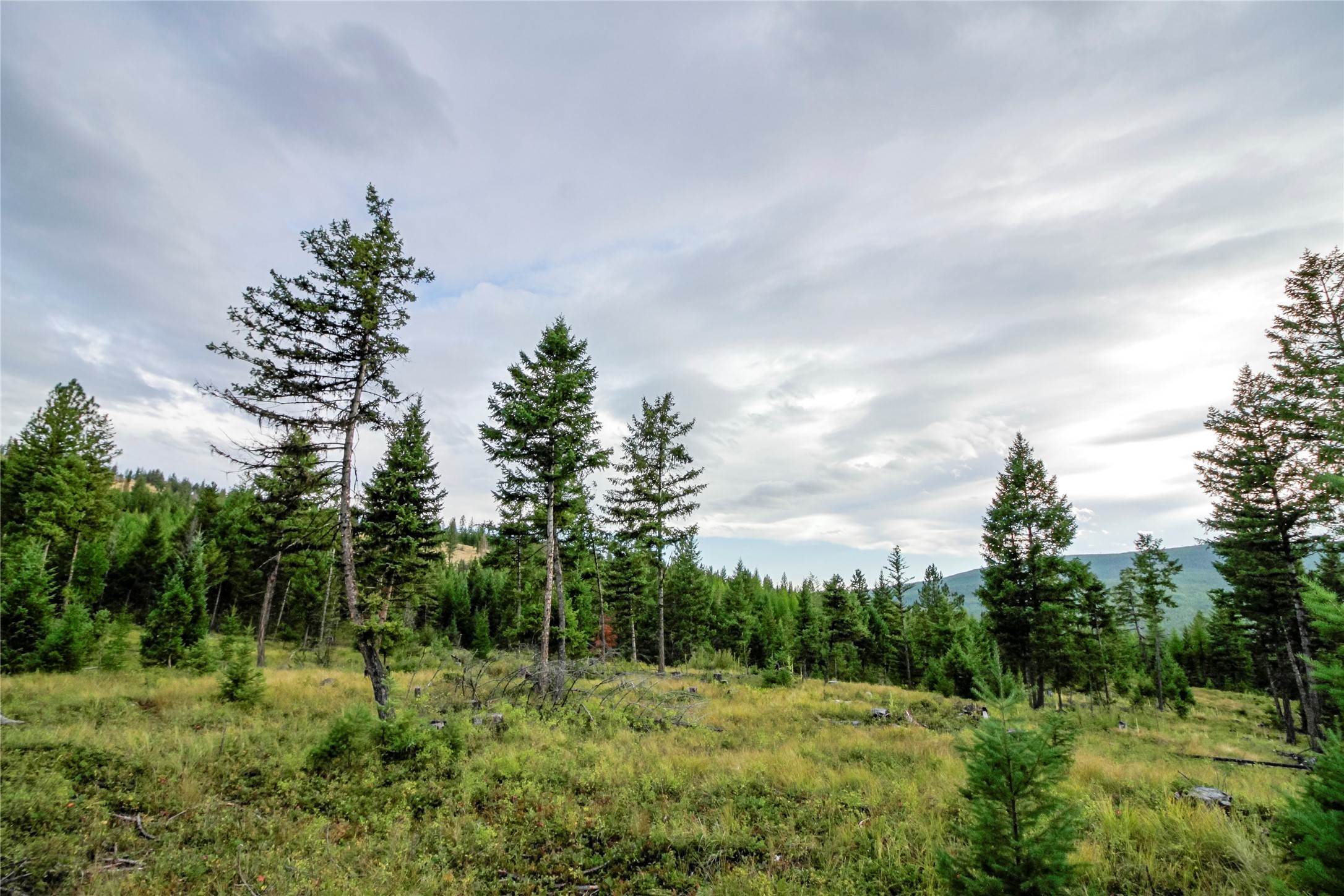 8. Land for Sale at NHN Browns Meadow Road, Kila, Montana 59920 United States