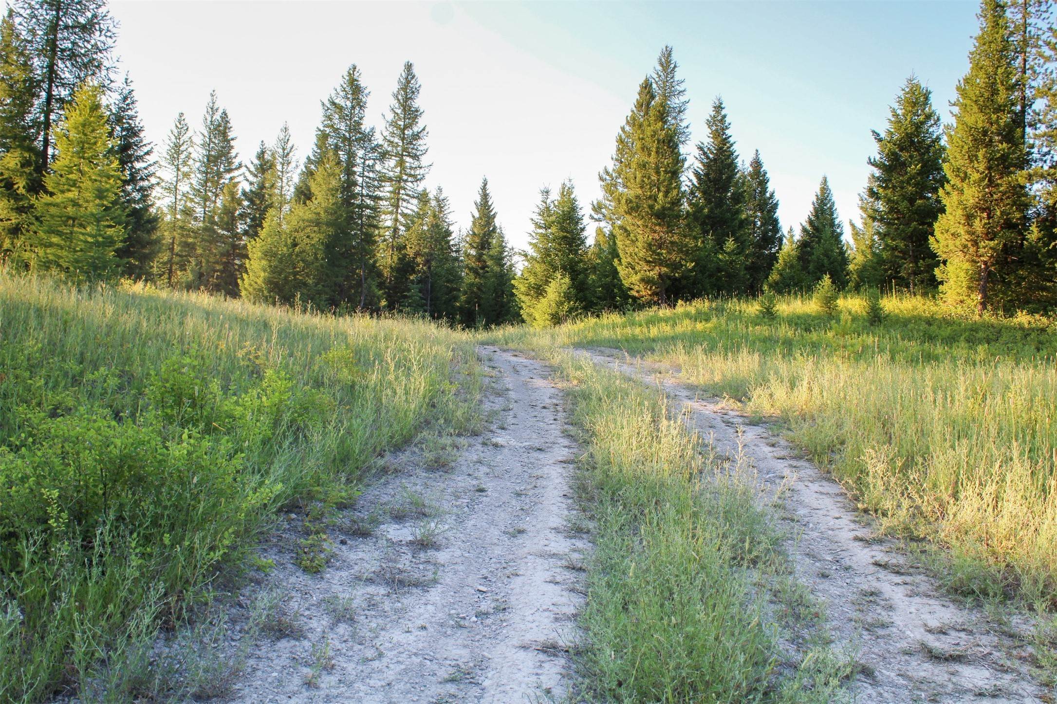 10. Land for Sale at NHN Browns Meadow Road, Kila, Montana 59920 United States