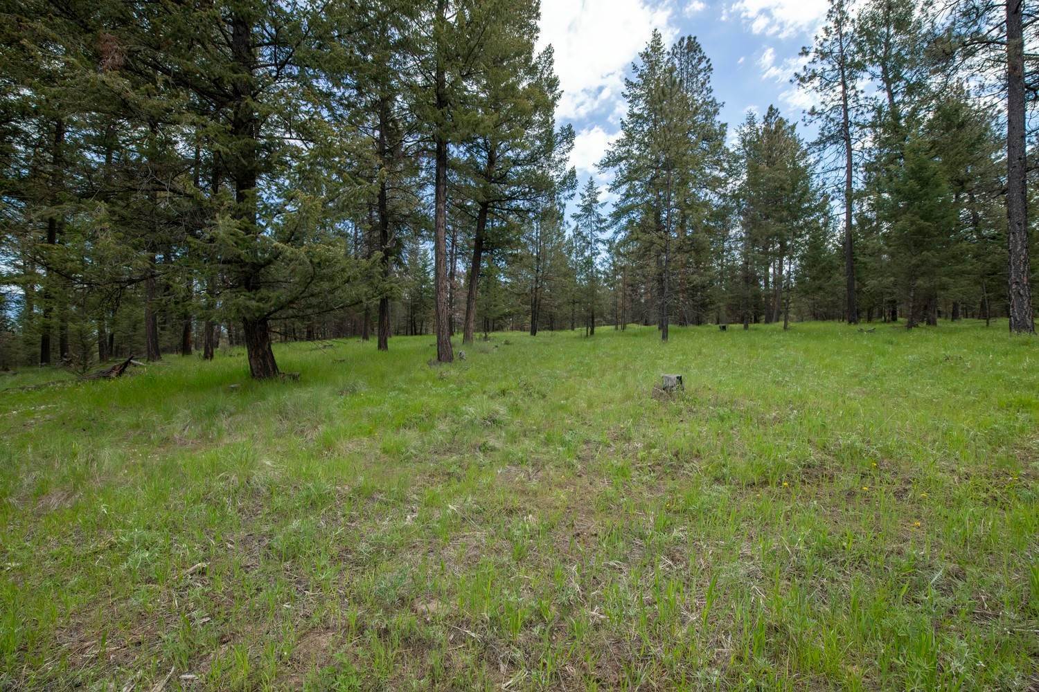 6. Land for Sale at 2 Bugling Elk Way, Rexford, Montana 59930 United States