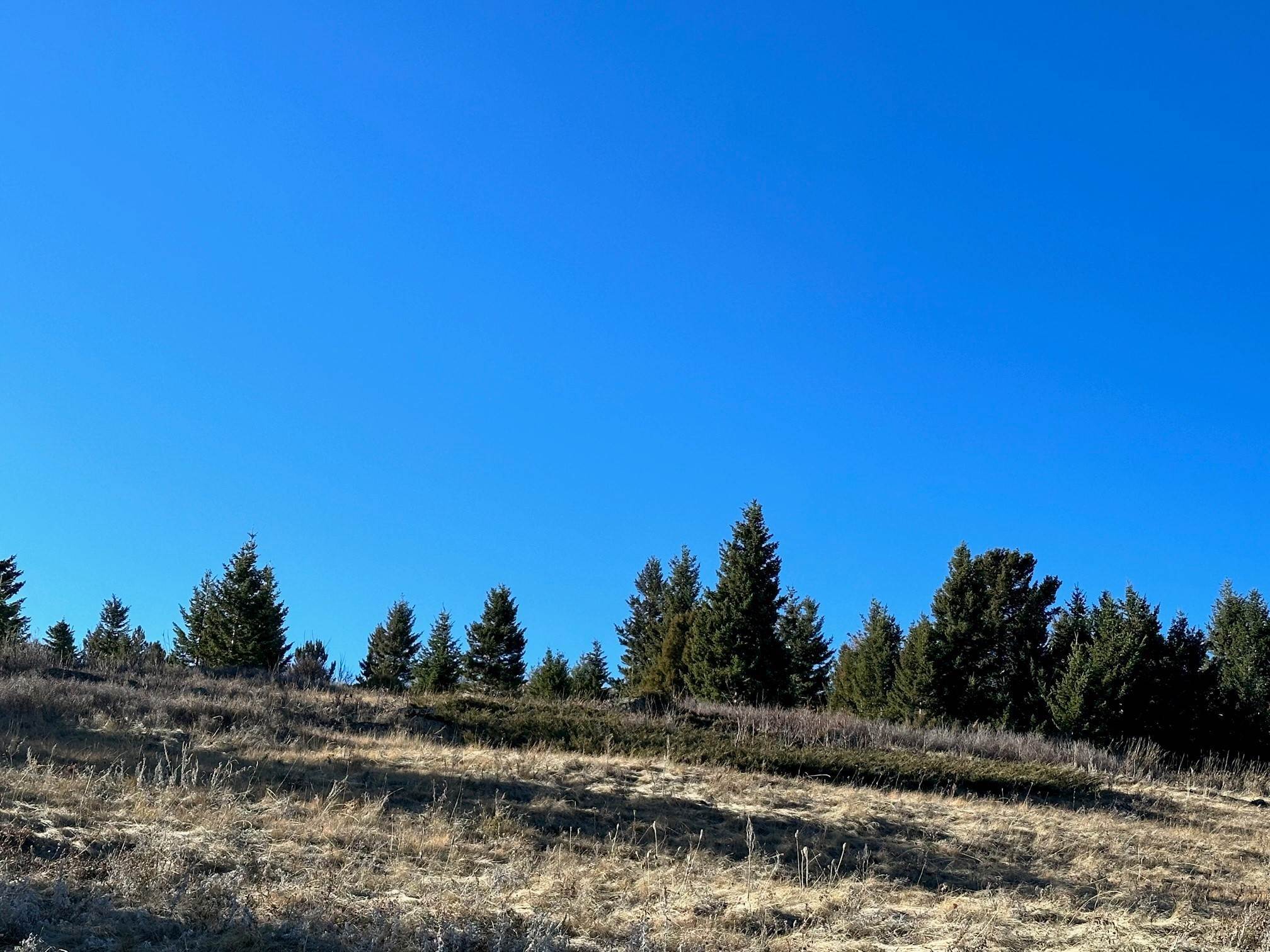 11. Land for Sale at NHN Rendezvous Trail, Livingston, Montana 59047 United States