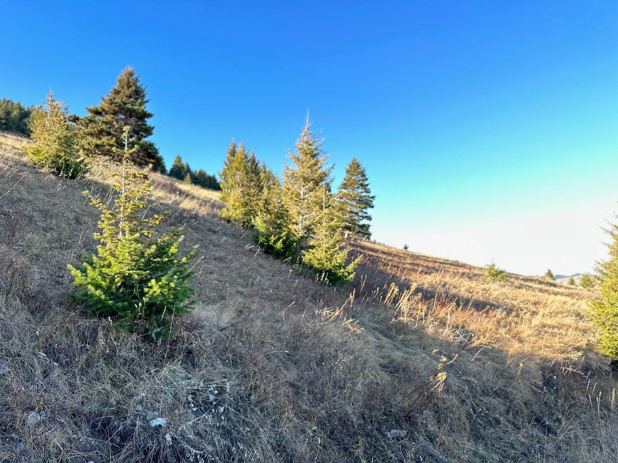 3. Land for Sale at NHN Rendezvous Trail, Livingston, Montana 59047 United States