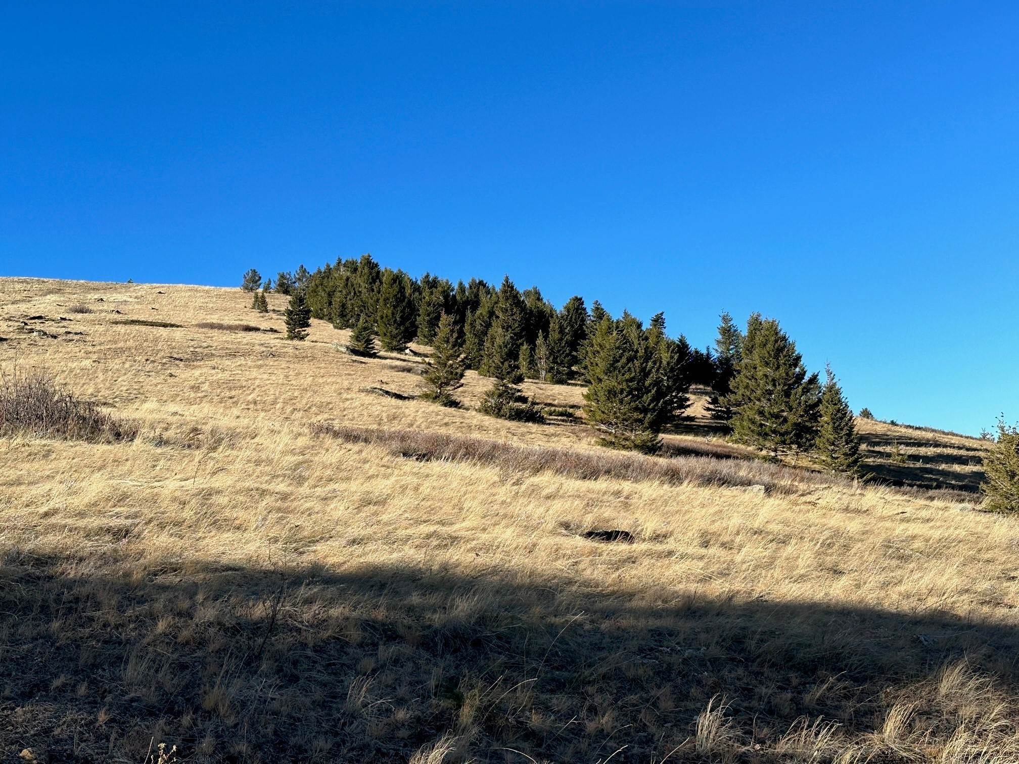 9. Land for Sale at NHN Rendezvous Trail, Livingston, Montana 59047 United States