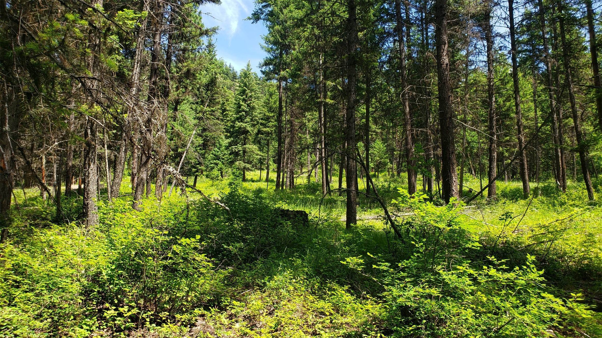 9. Land for Sale at Nka Swede Mountain Road, Libby, Montana 59923 United States