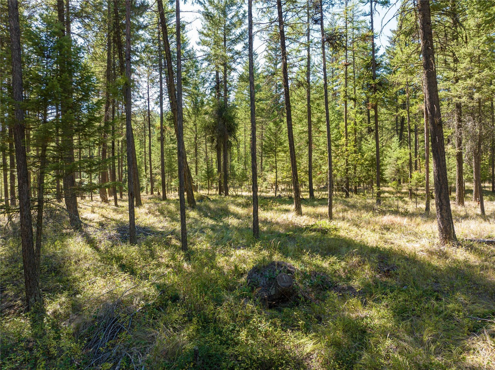 7. Land for Sale at NHN Benchmark Drive, Lakeside, Montana 59922 United States