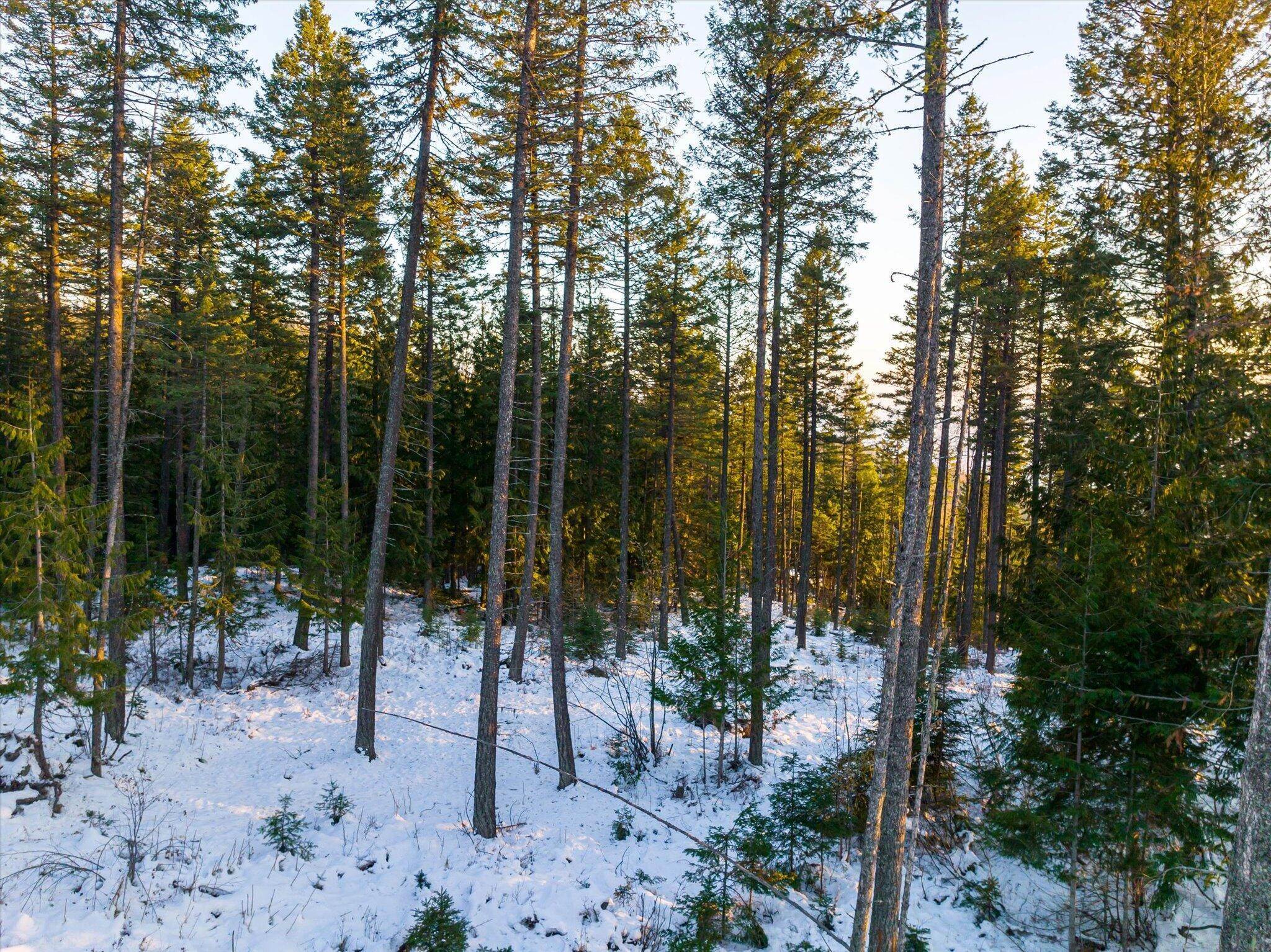 20. Land for Sale at Nhn Big Mountain Road, Whitefish, Montana 59937 United States
