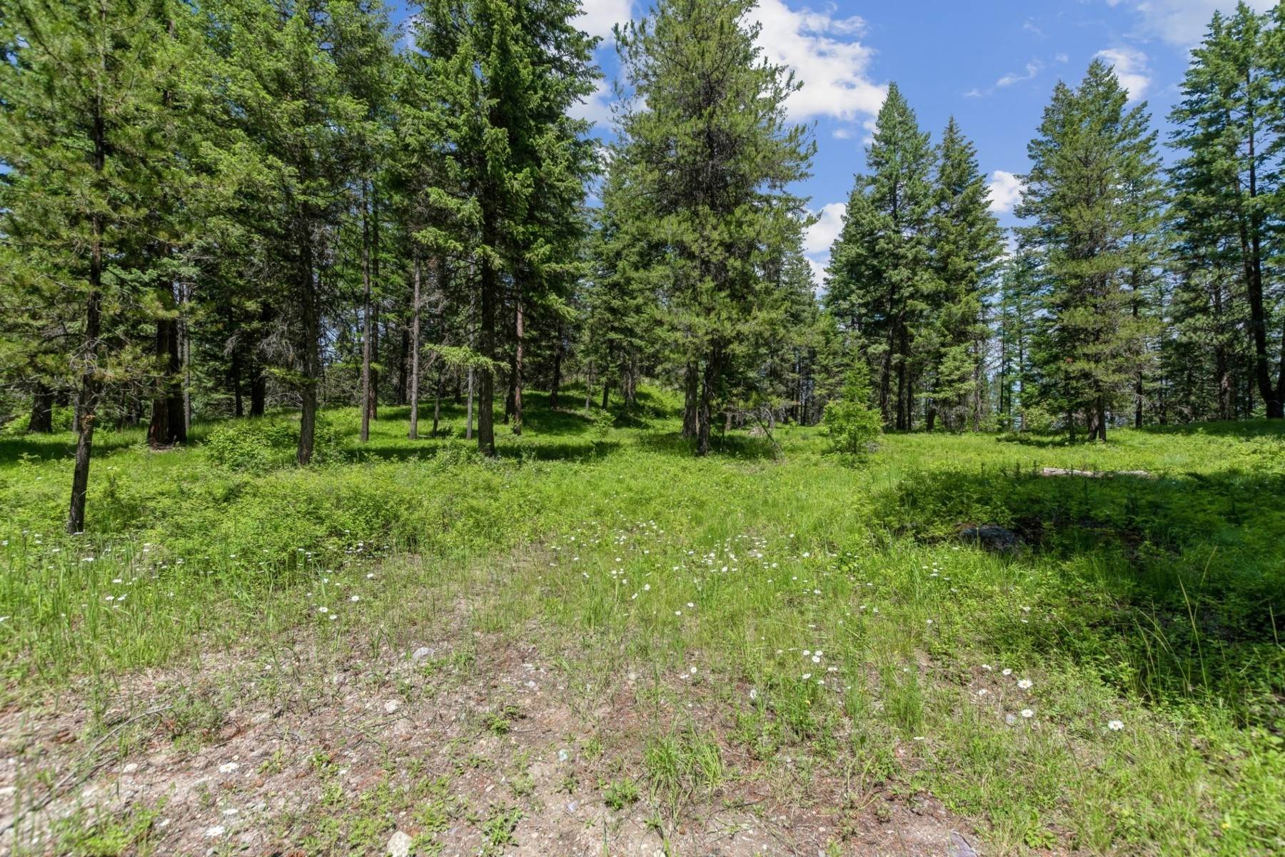 15. Land for Sale at 350 Hawks Lake Lane, Whitefish, Montana 59937 United States