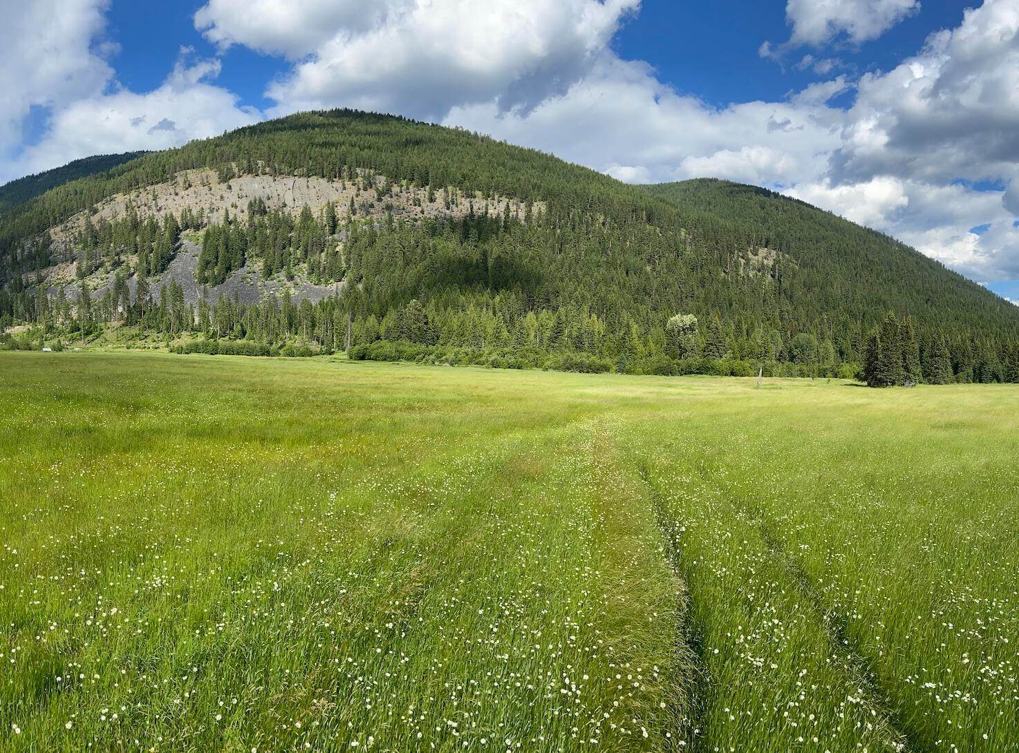 16. Land for Sale at 2918 Pine Creek Road L3, Troy, Montana 59935 United States