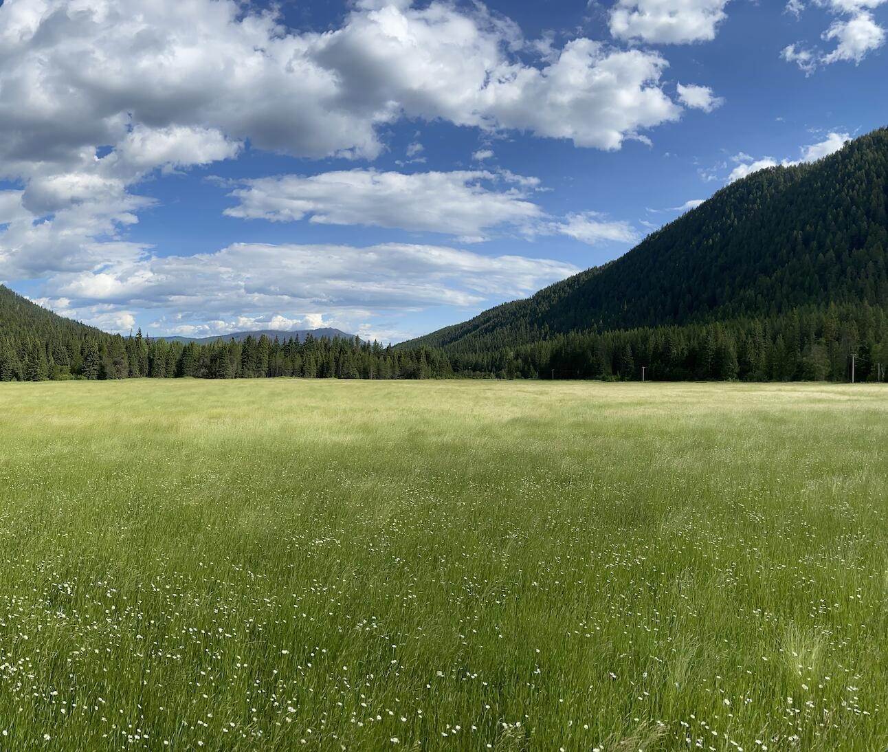 8. Land for Sale at 2918 Pine Creek Road L4, Troy, Montana 59935 United States