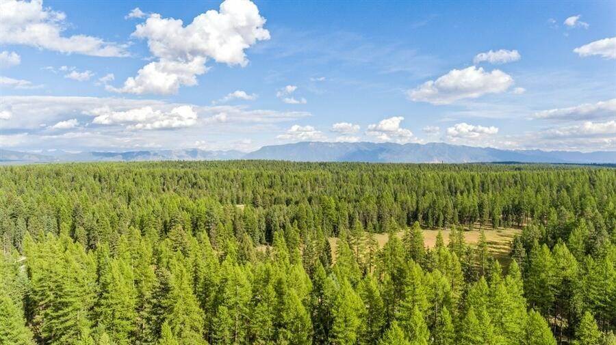4. Land for Sale at 63 Whitefish Ranch Court Whitefish, Montana 59937 United States