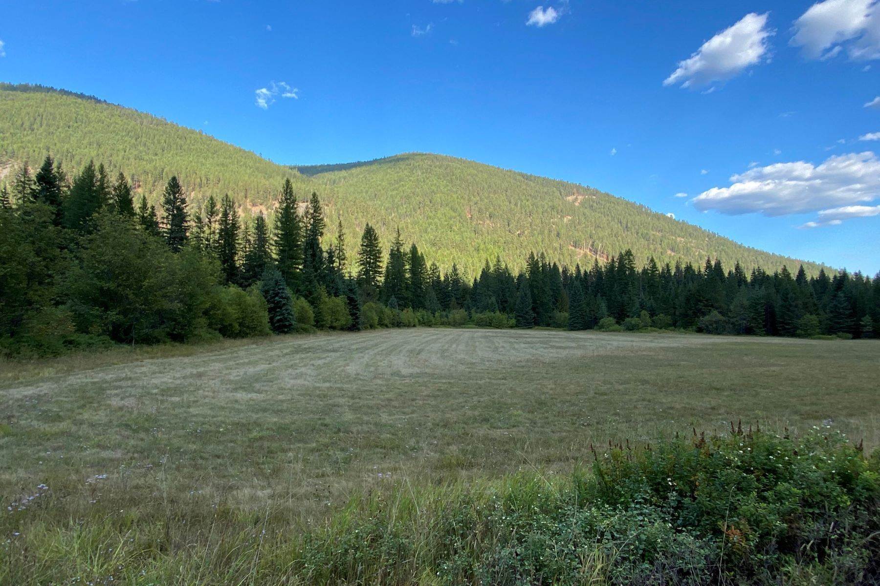 Land for Sale at 20a Pine Creek Road, Troy, Montana 59935 United States