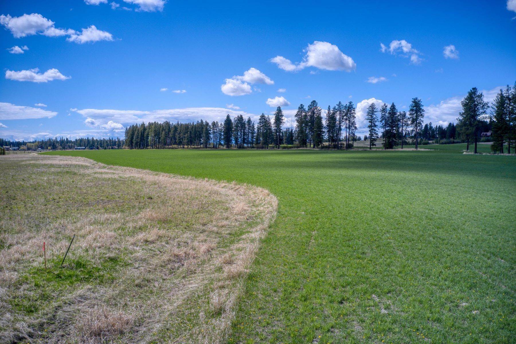 36. Land for Sale at Lot 2 Middle Road Columbia Falls, Montana 59912 United States