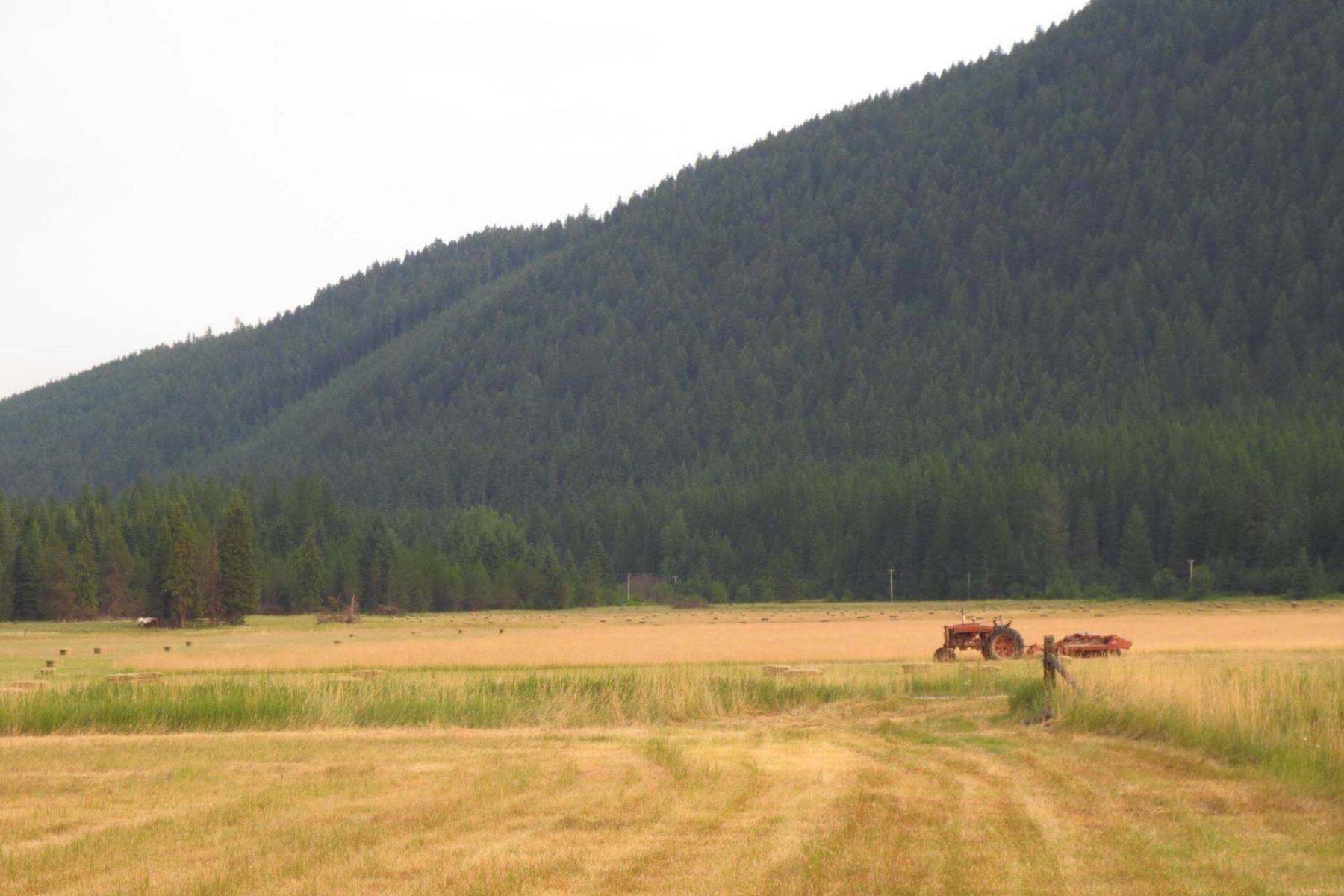 2. Land for Sale at 2918 Pine Creek Road L3, Troy, Montana 59935 United States