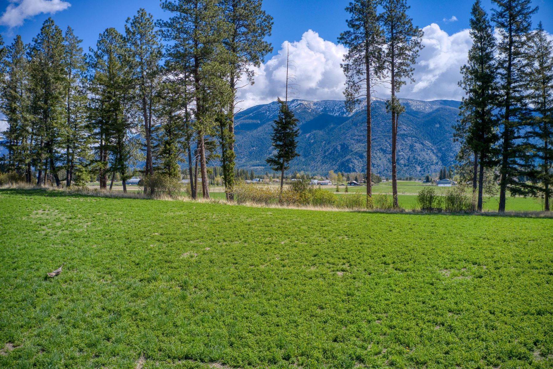 12. Land for Sale at Lot 3 Middle Road Columbia Falls, Montana 59912 United States