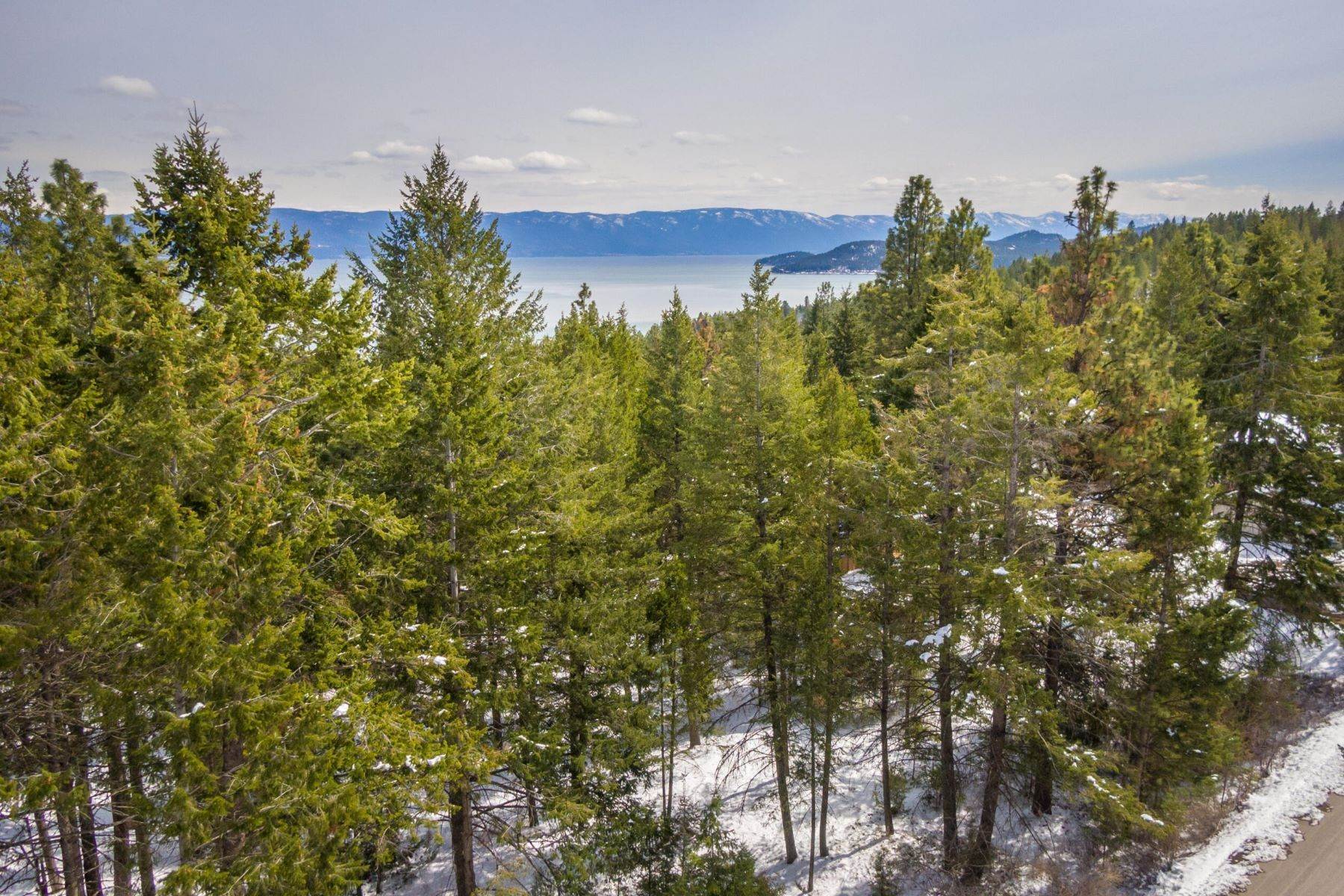 8. Land for Sale at 101 Timberlane Terrace, Lakeside, Montana 59922 United States
