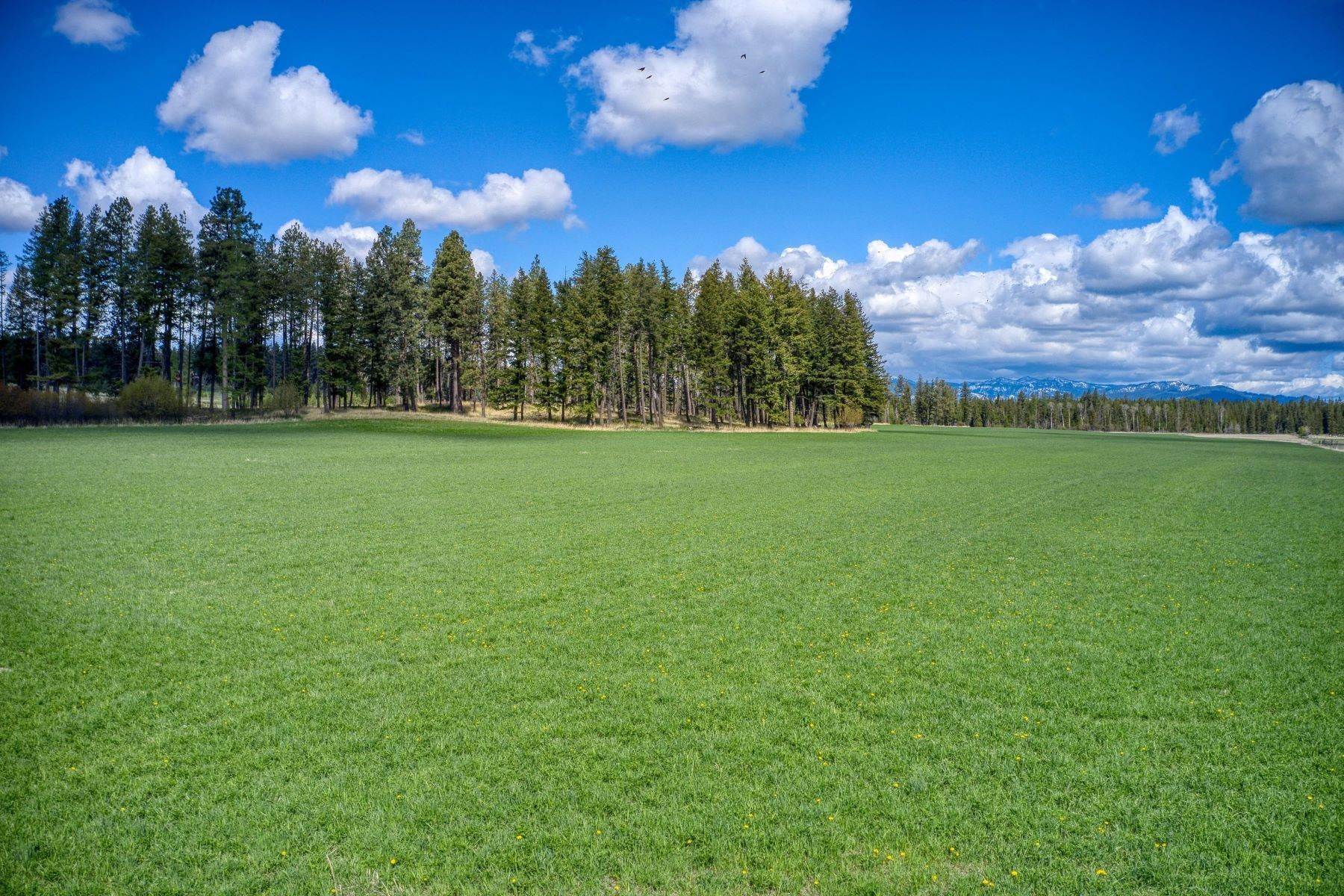 26. Land for Sale at Lot 3 Middle Road Columbia Falls, Montana 59912 United States