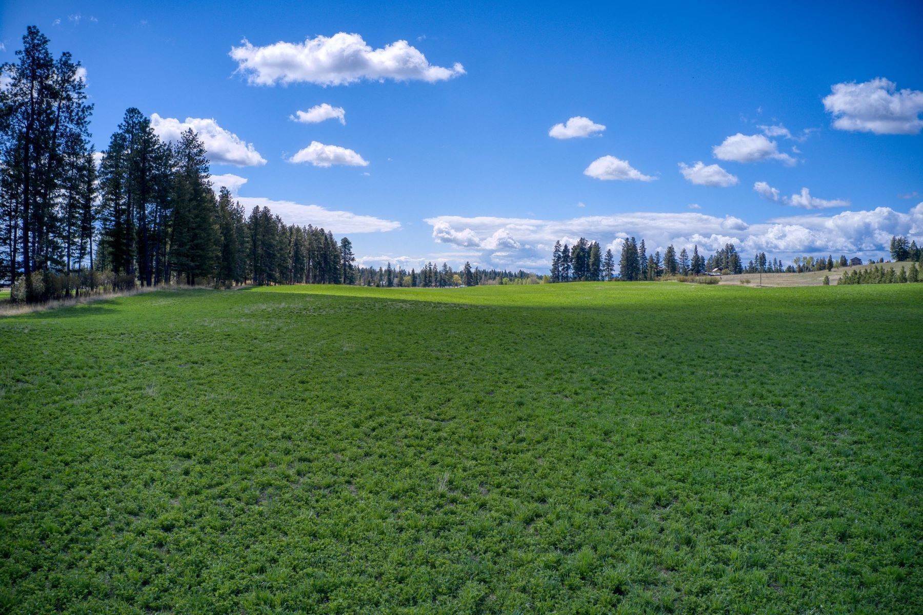 28. Land for Sale at Lot 1 Middle Road Columbia Falls, Montana 59912 United States