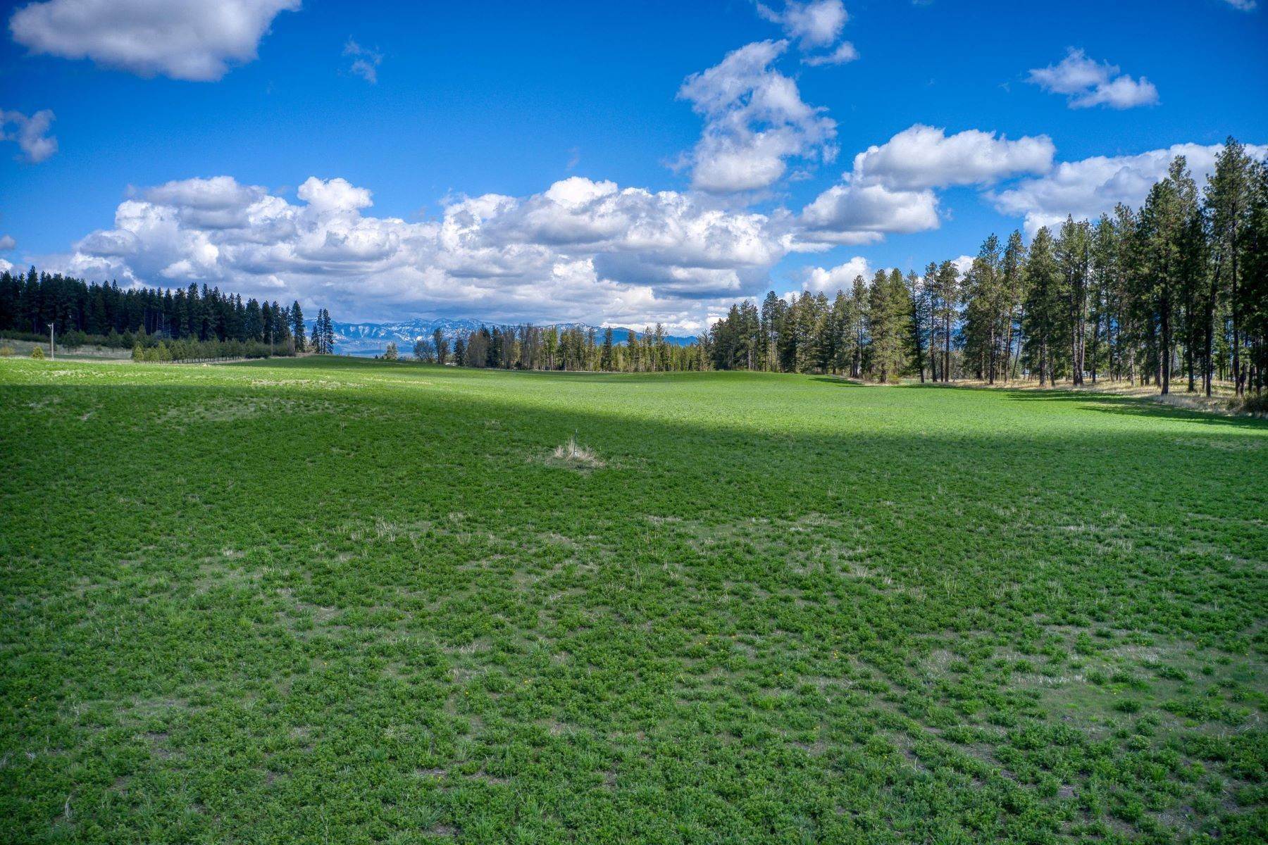 37. Land for Sale at Lot 6 Middle Road Columbia Falls, Montana 59912 United States