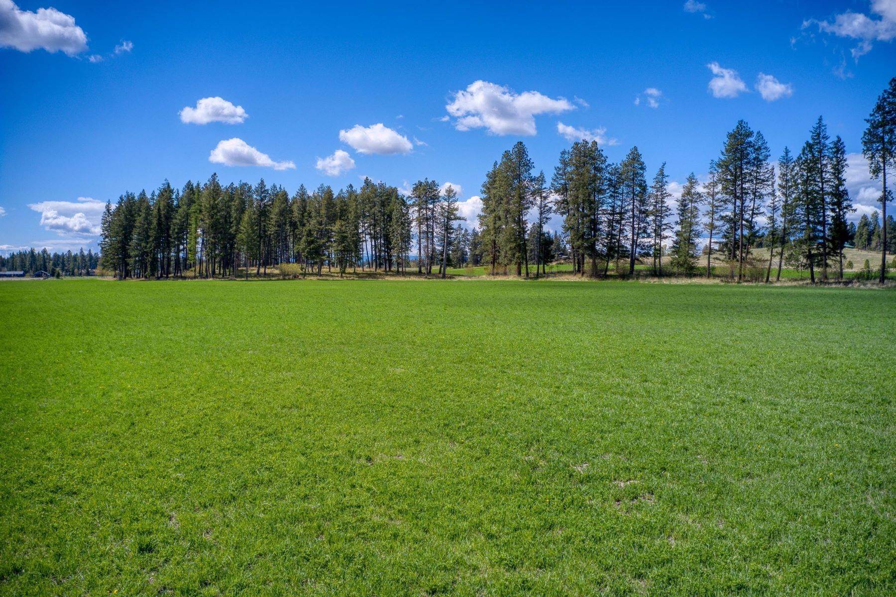 32. Land for Sale at Lot 1 Middle Road Columbia Falls, Montana 59912 United States