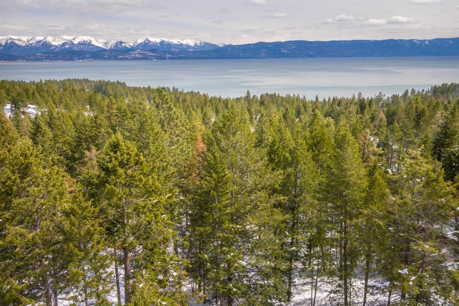 2. Land for Sale at 101 Timberlane Terrace, Lakeside, Montana 59922 United States